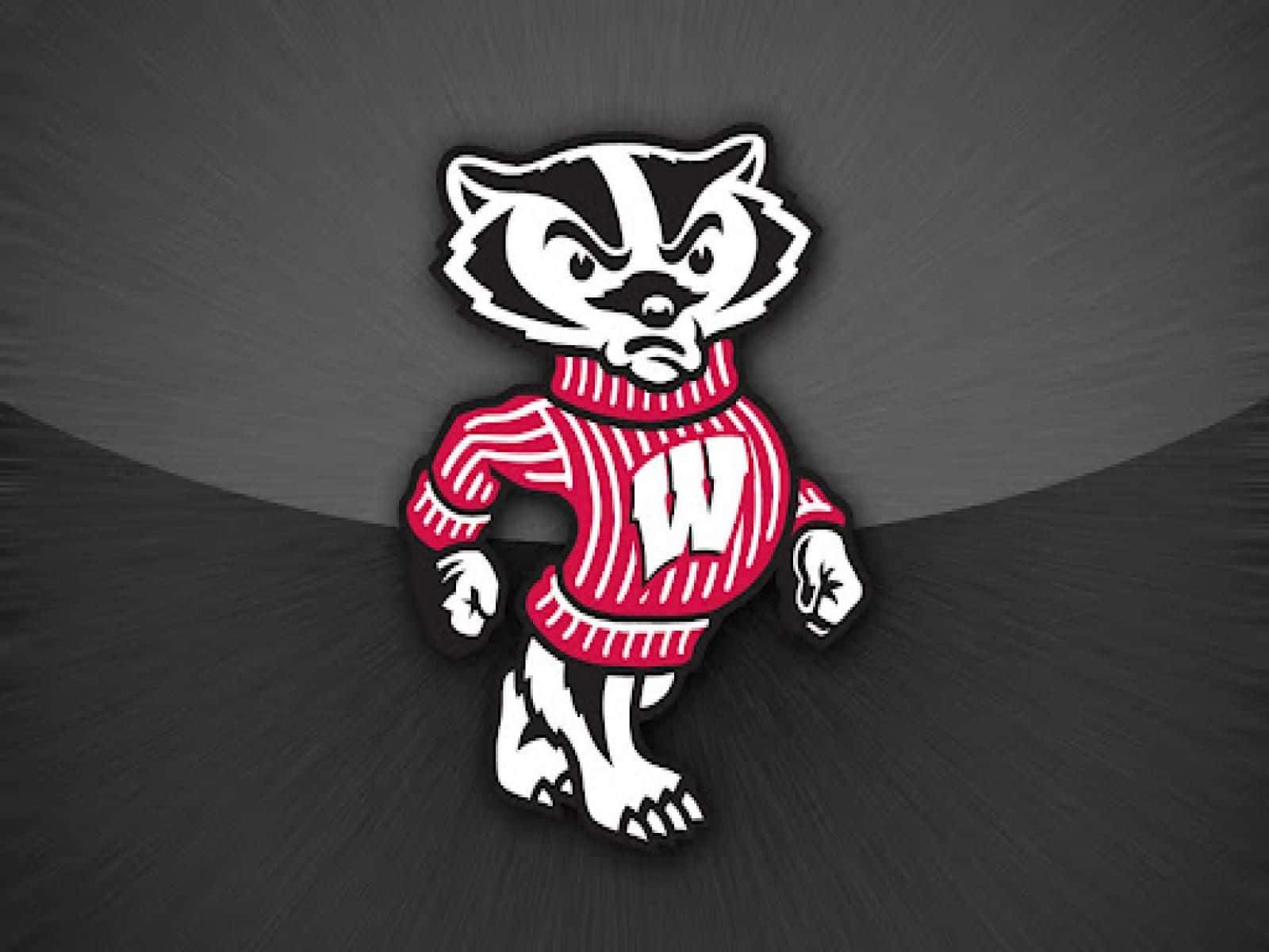 Wisconsin Badgers, red striped sweater, white W, HD Desktop Wallpaper