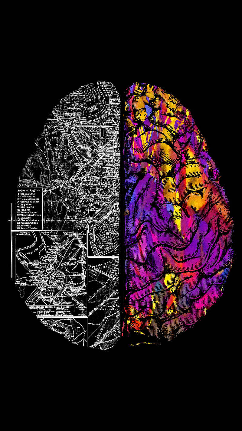 Wise, split-brain illustration, city map, HD Phone Wallpaper