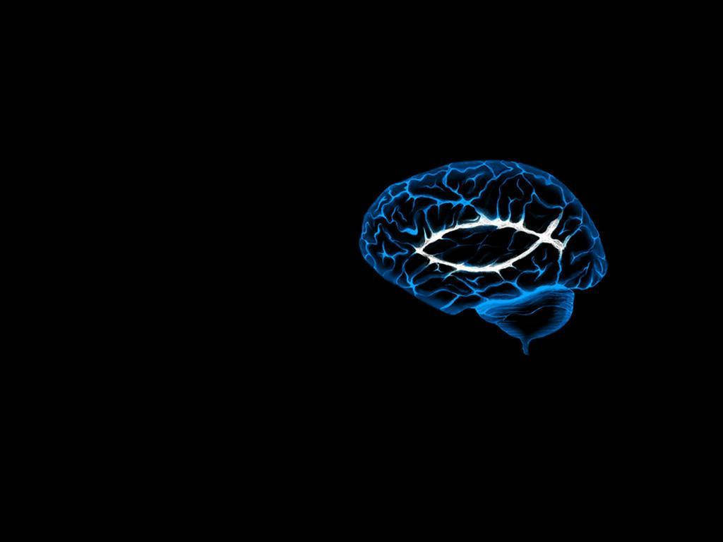 Wise Brain Outline, glowing blue brain, white neural pathways, SD Desktop Wallpaper