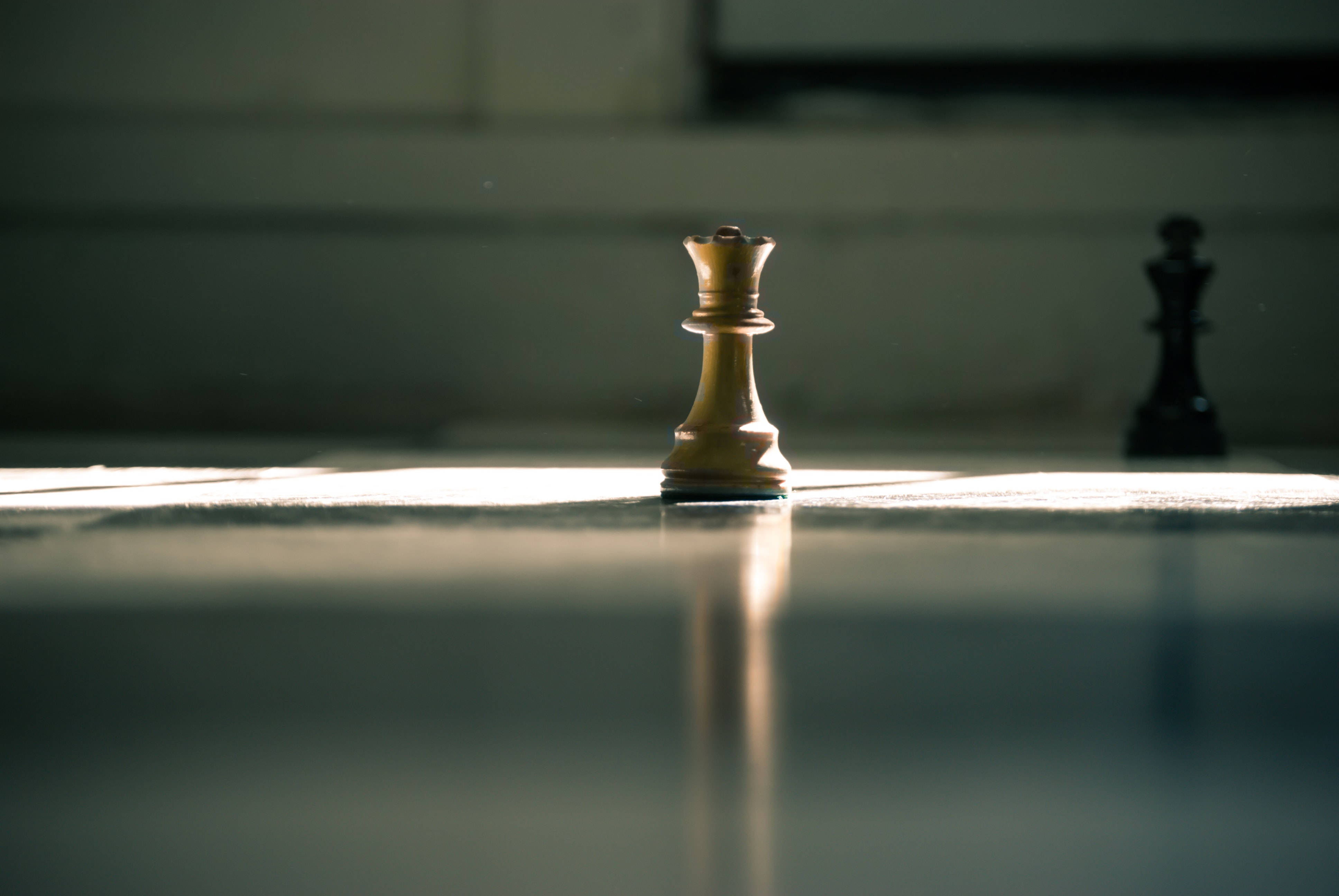 Wise, white and black chess pieces, golden chess king, 4K Desktop Wallpaper