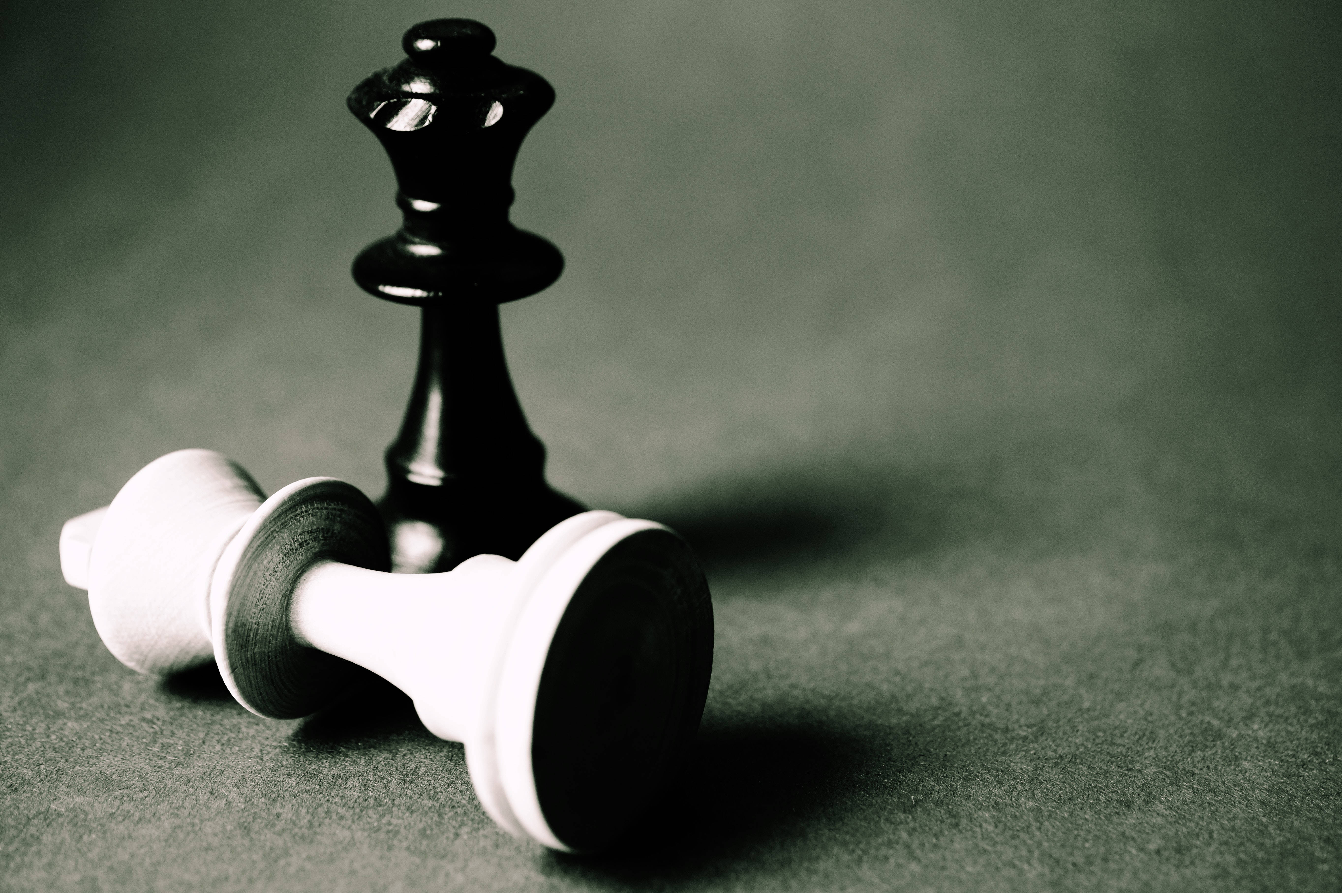 Wise, black chess king, white queen, 5K Desktop Wallpaper