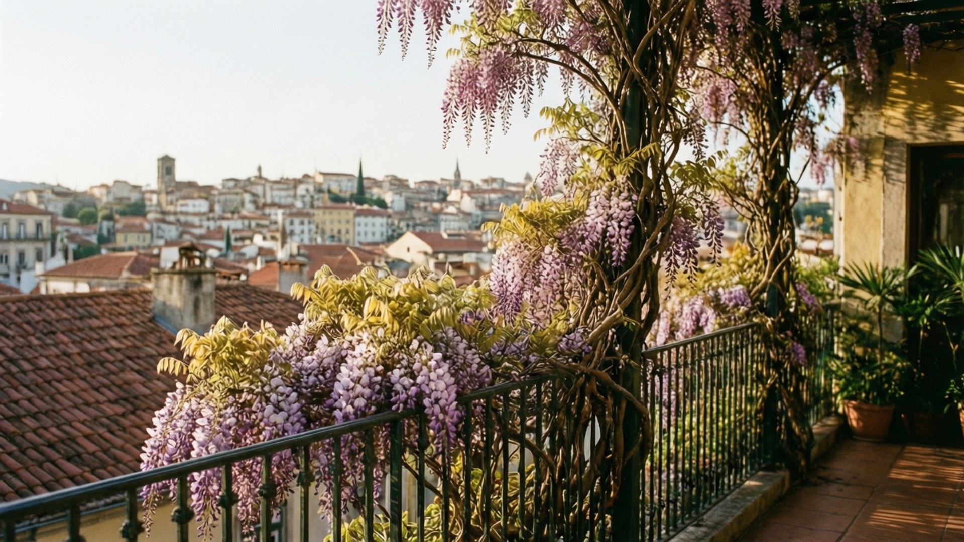 Wisteria, balcony, city view, Full HD Desktop Wallpaper