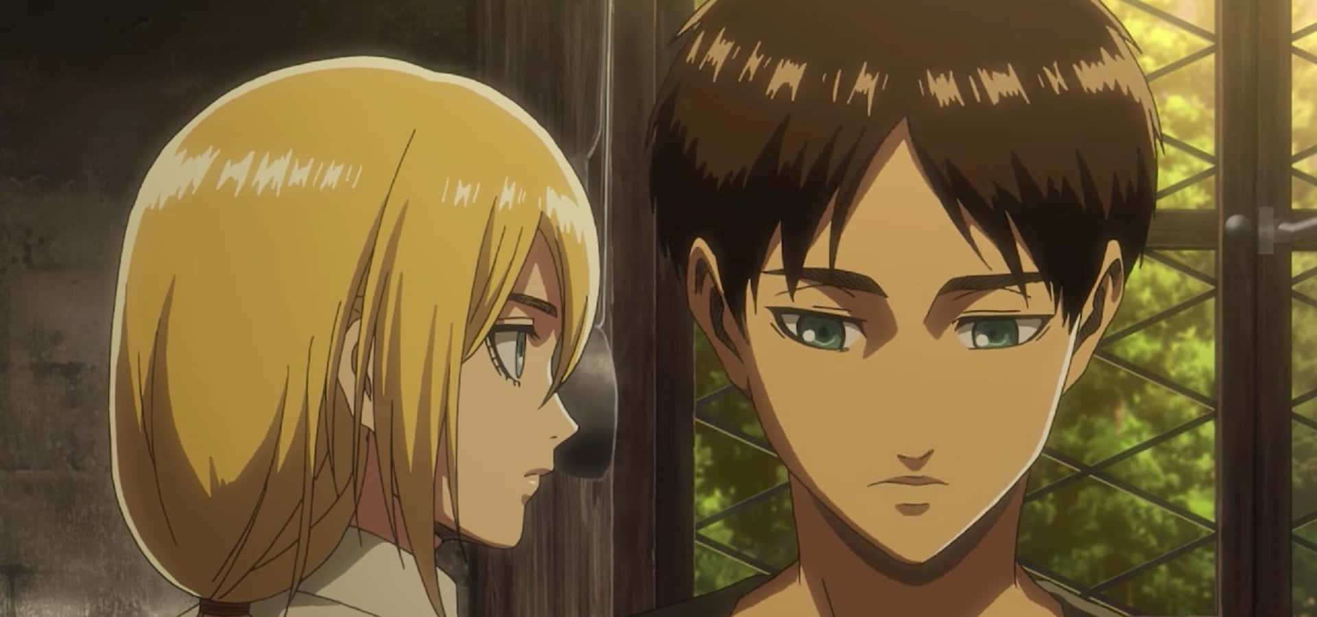 Wit Studio, 1920 x 900, barred window, Full HD Desktop Wallpaper