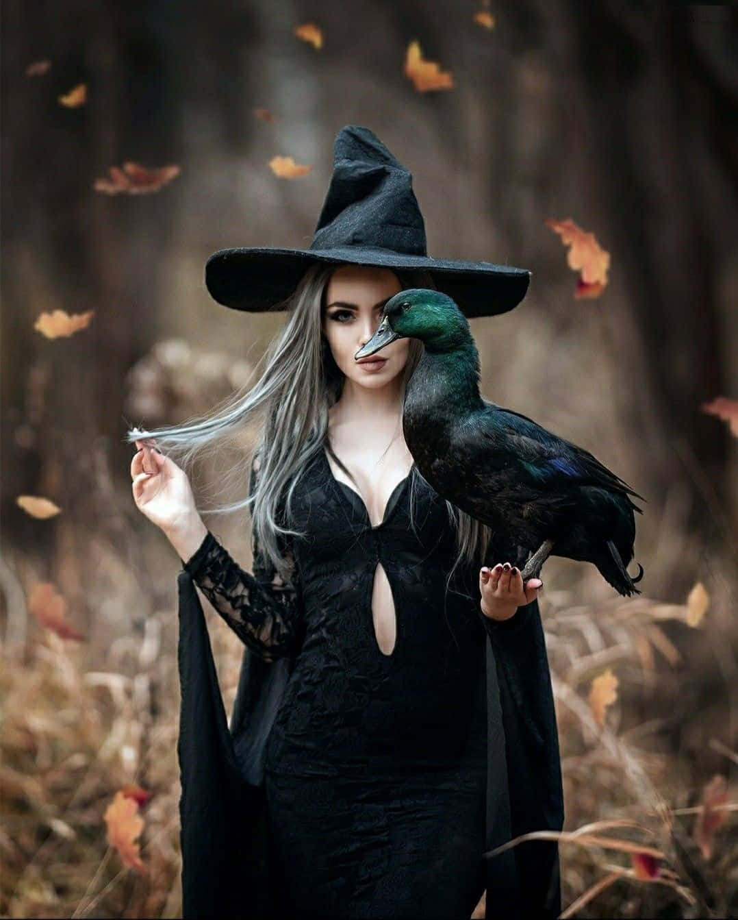 witch, black hat, gown, HD Phone Wallpaper