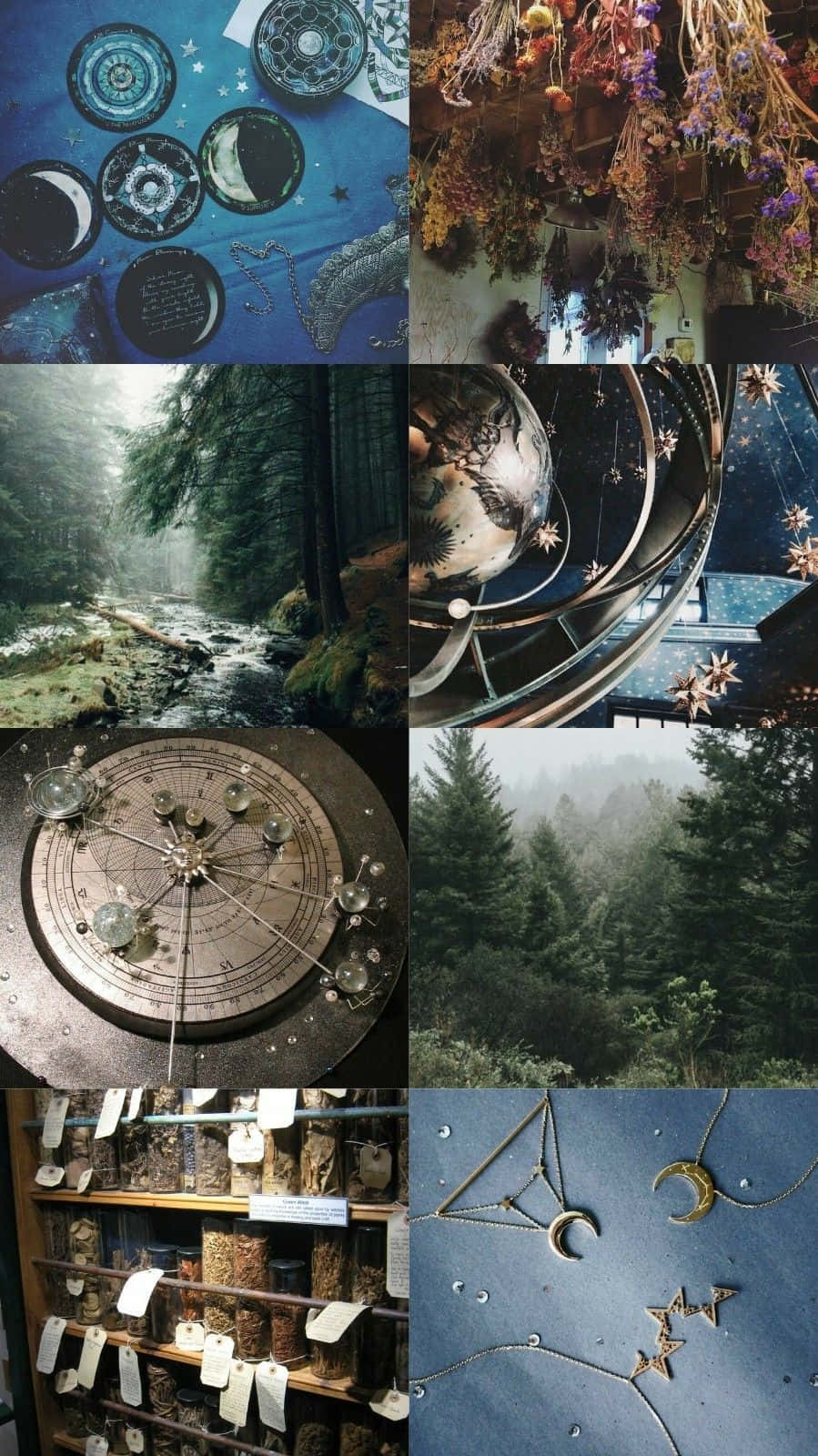 witch aesthetic, celestial symbols, dried flowers, HD Phone Wallpaper