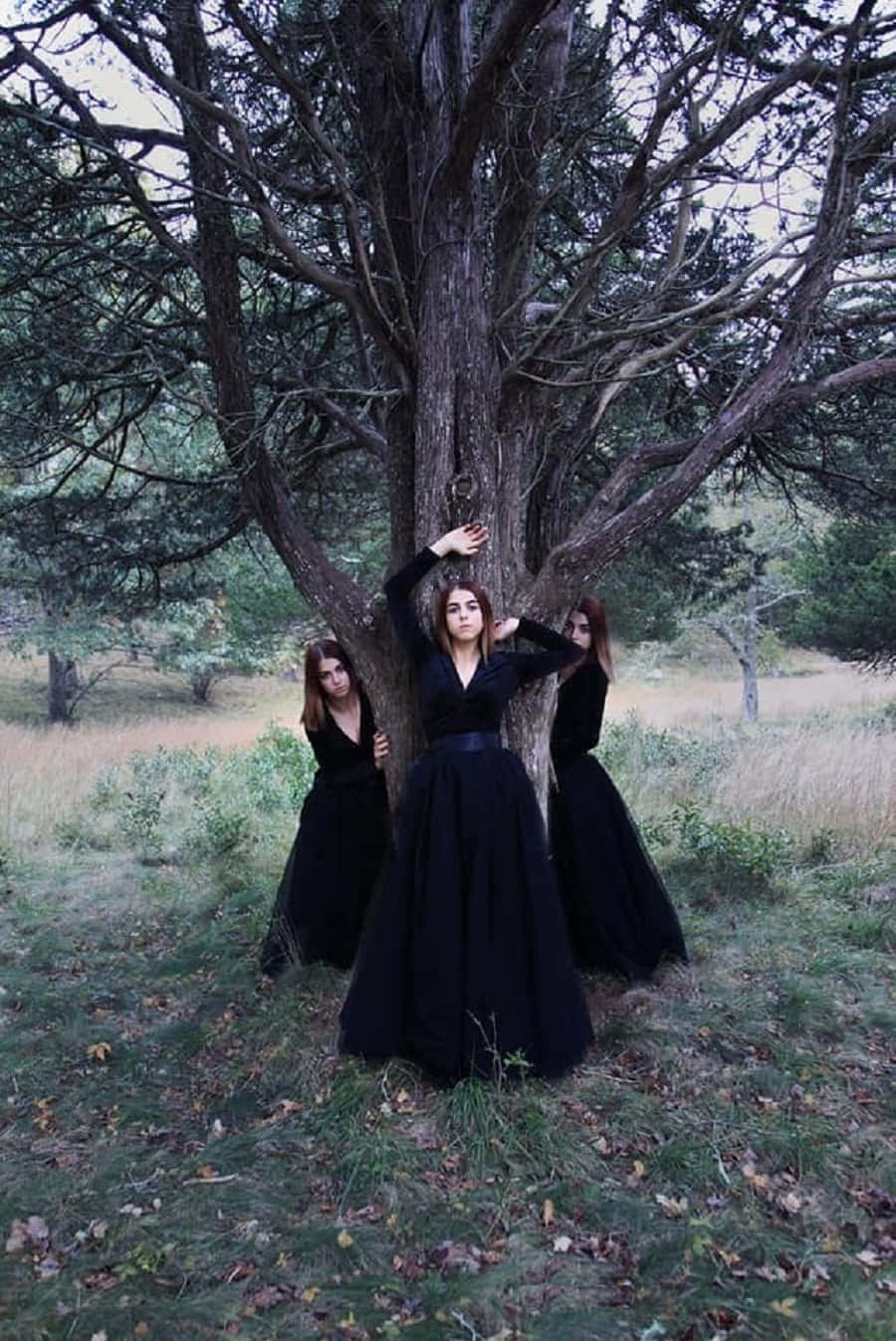witch costumes, black dresses, massive gnarled tree, HD Phone Wallpaper
