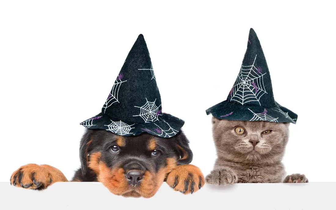 Witch Hats