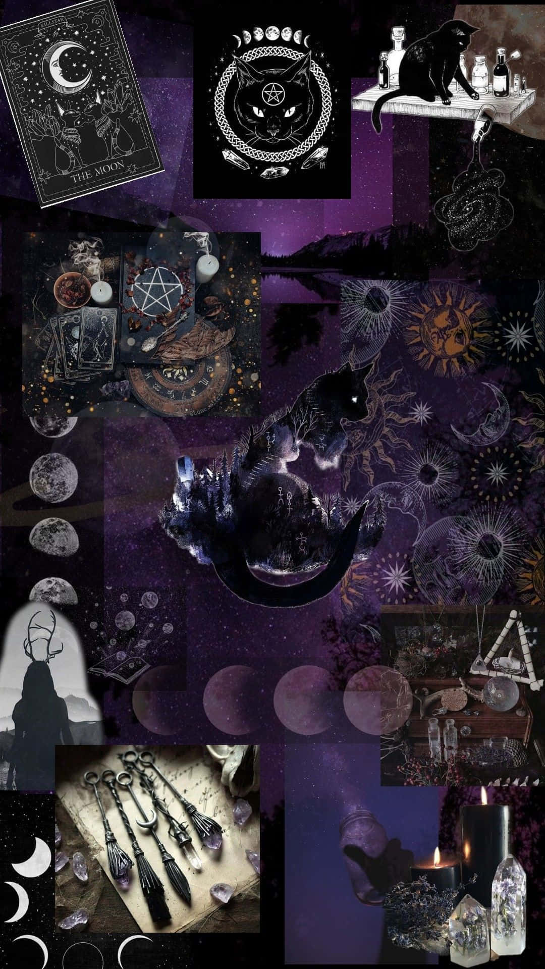 witchy aesthetic, mystical purple, black cats, Full HD Phone Wallpaper