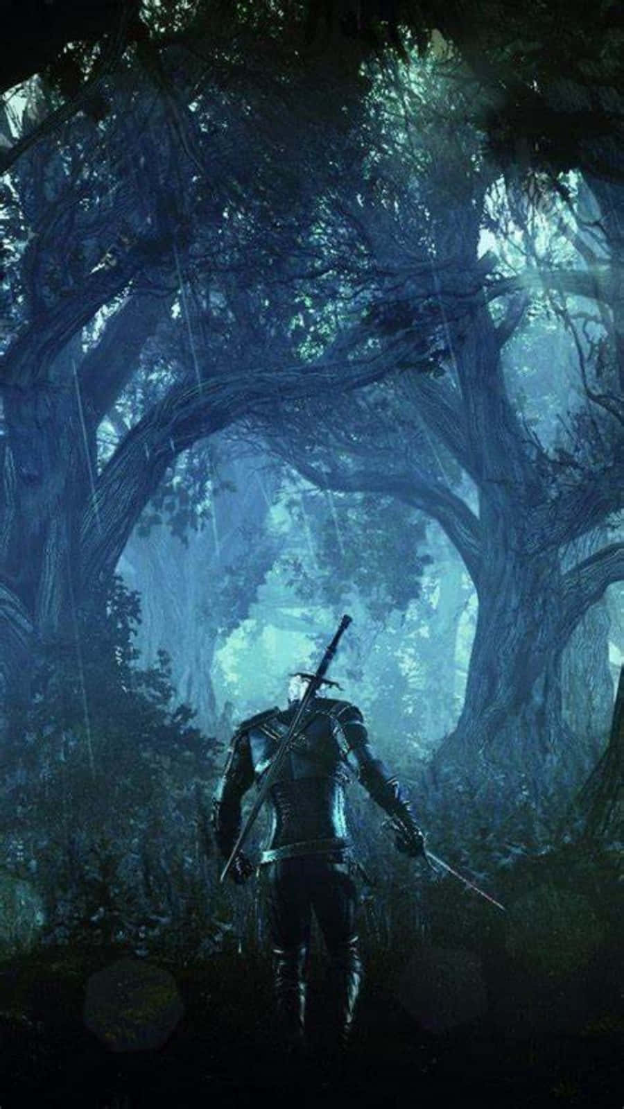 Witcher 3, armored warrior, sword, HD Phone Wallpaper