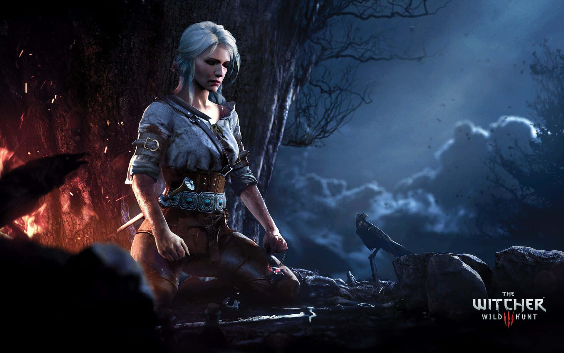 Witcher 3, silver-haired witcher, campfire, Full HD Desktop Wallpaper