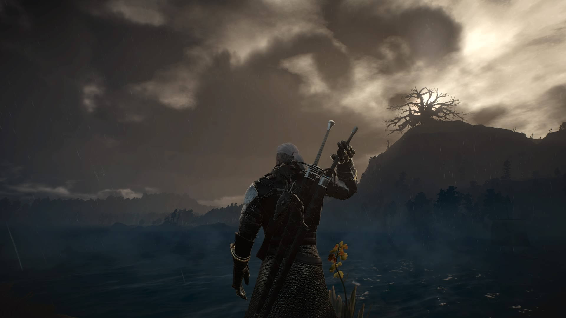 Witcher 4K, gloomy weather, misty lake, Full HD Desktop Wallpaper