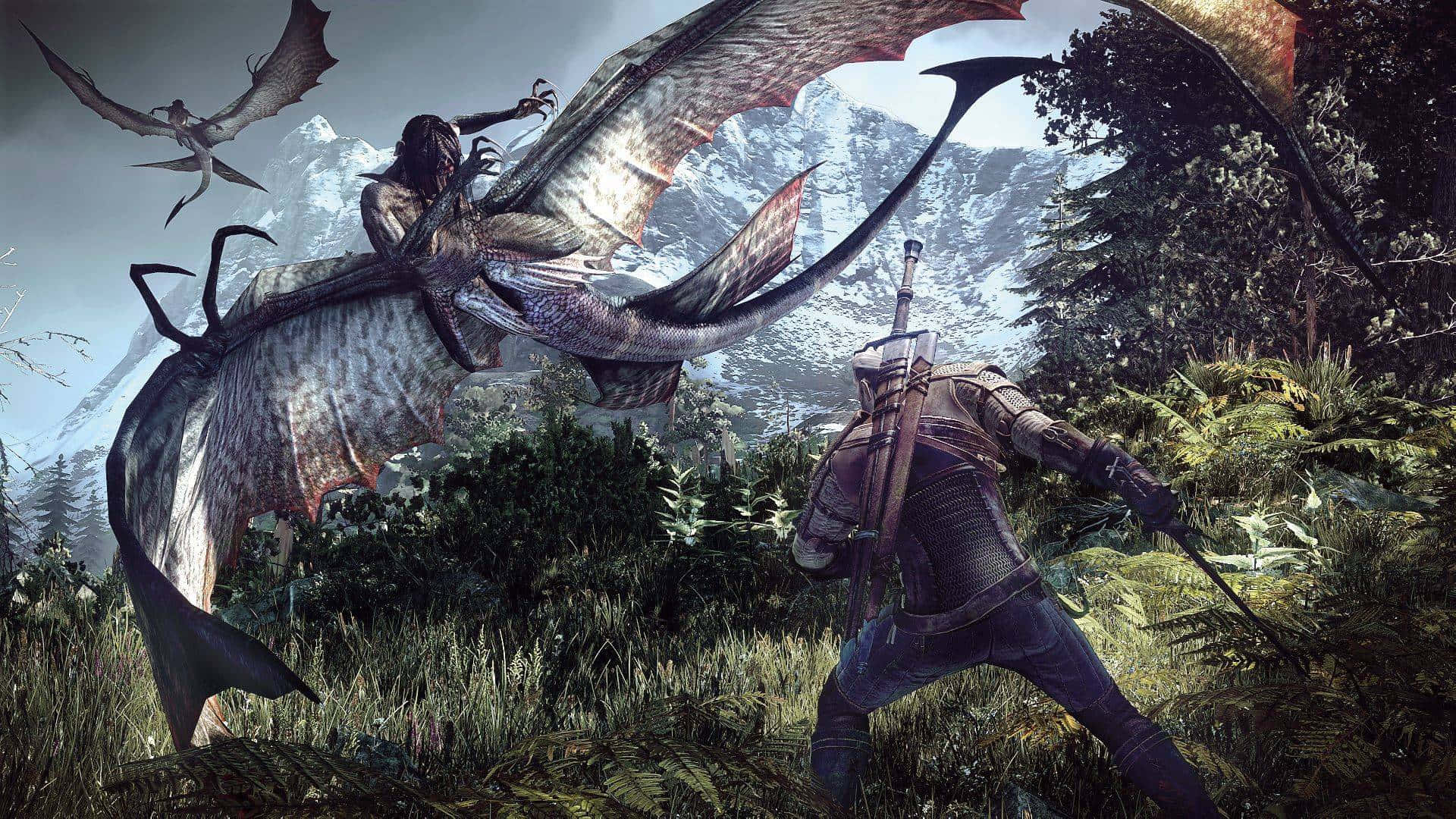 Witcher 3, dragon, misty mountain forest, Full HD Desktop Wallpaper