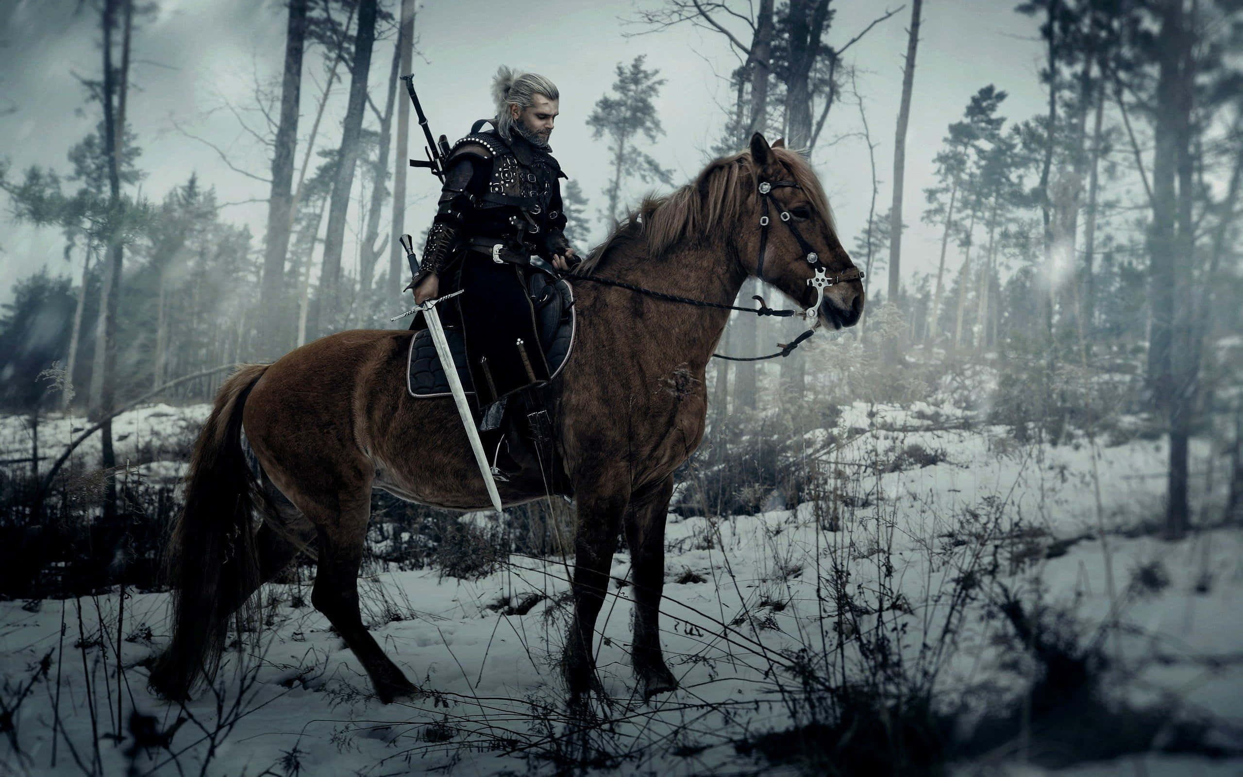 Witcher Sword, armored warrior, brown horse, 2K Desktop Wallpaper