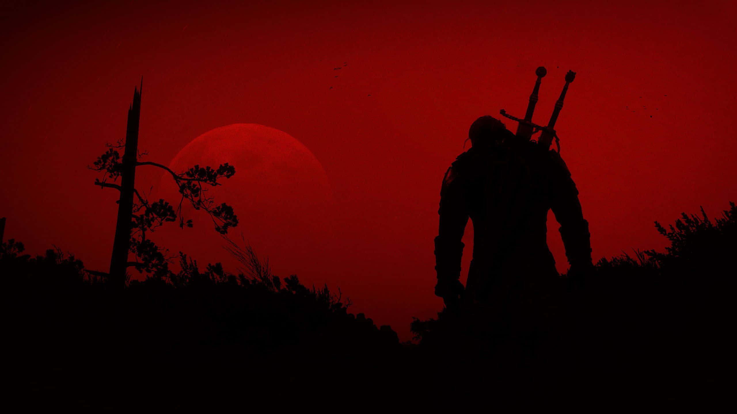 Witcher Sword, blood red sky, crimson moon, 2K Desktop Wallpaper