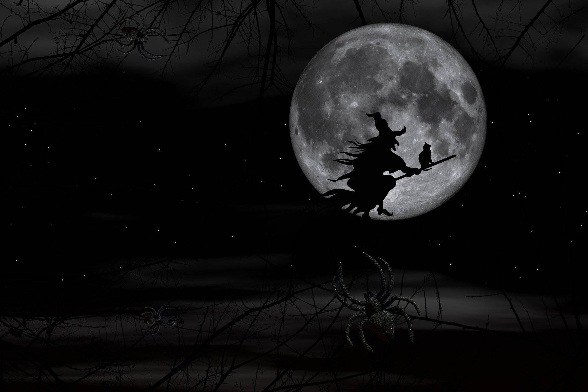 witch, broomstick, cat, Full HD Desktop Wallpaper