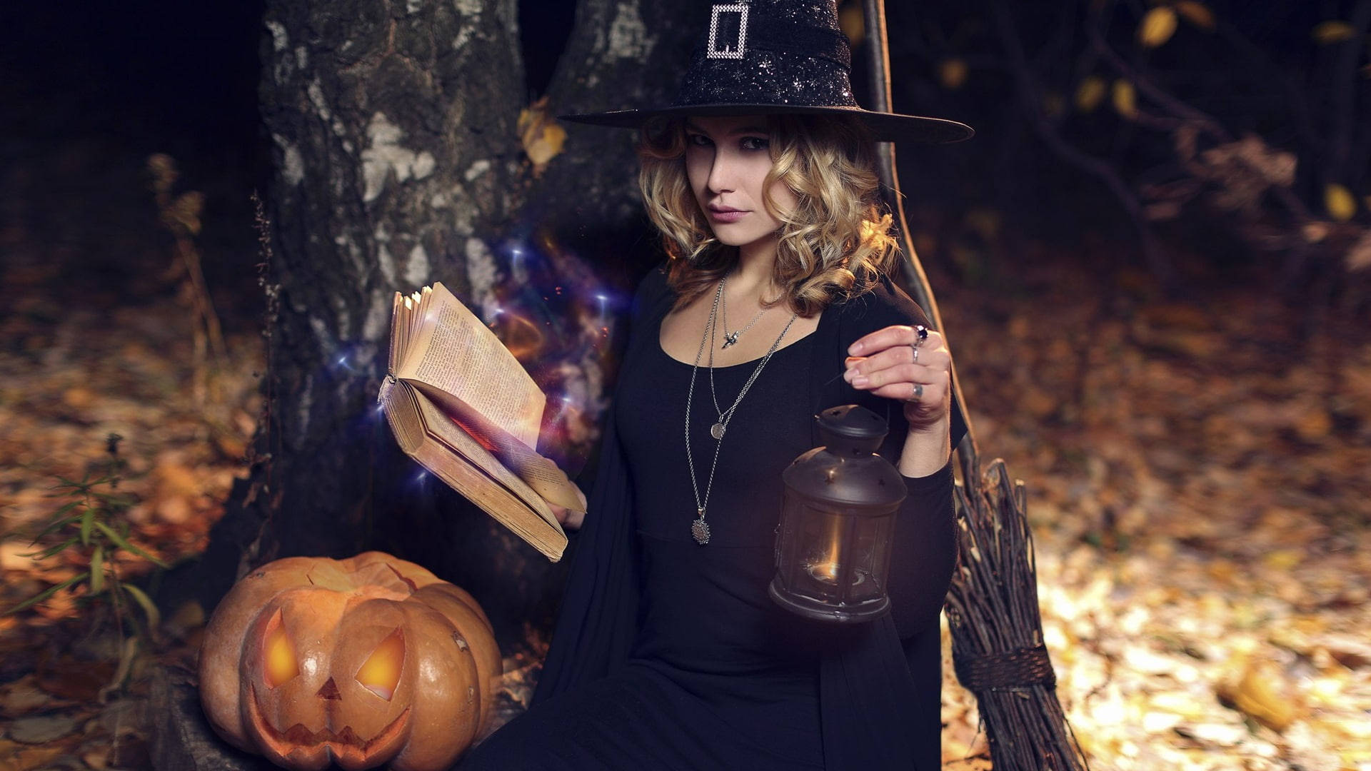 witch, black hat, cloak, Full HD Desktop Wallpaper
