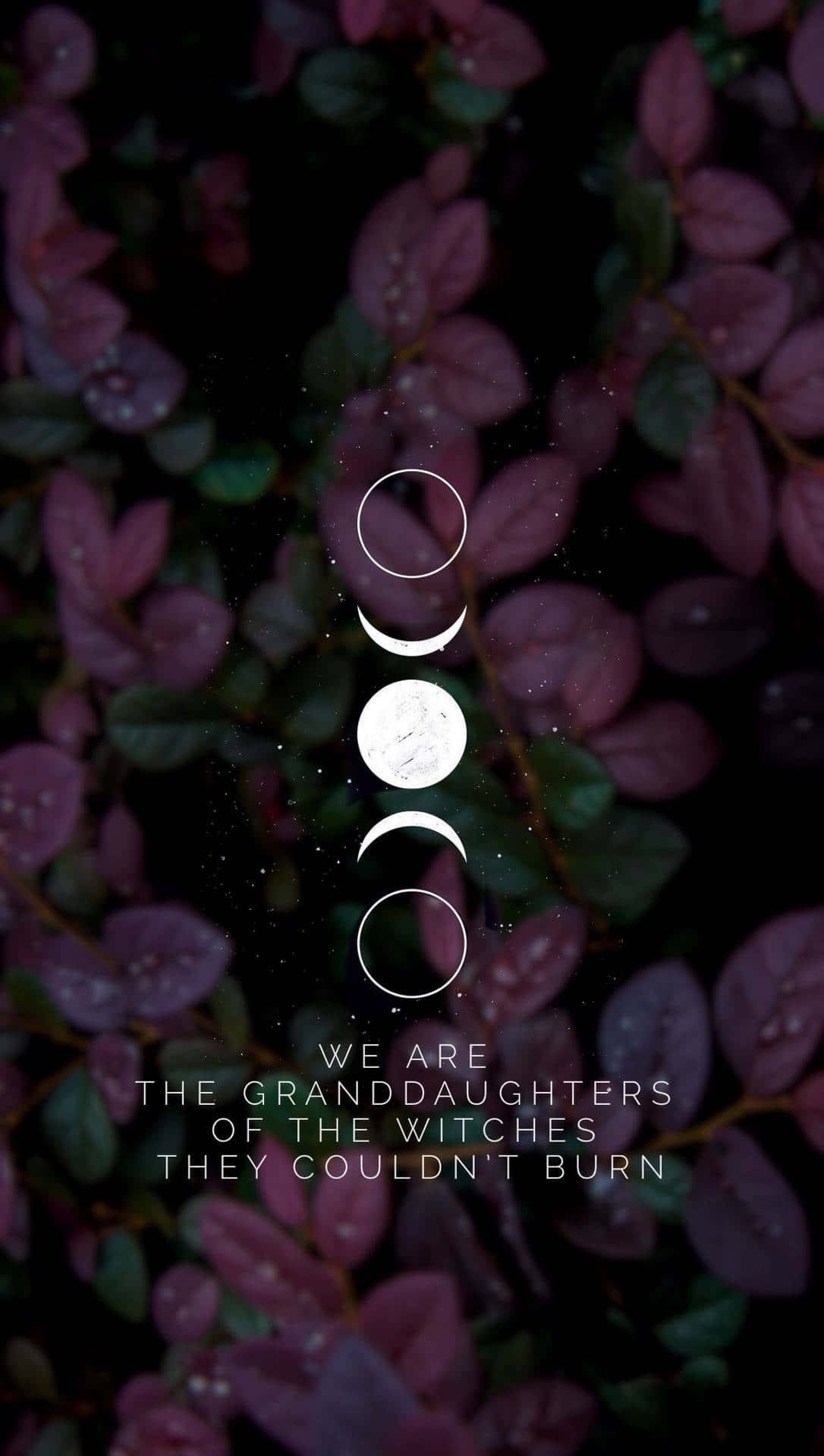 cute witchy phases of the moon, dark purple leaves, dew drops, Full HD Phone Wallpaper