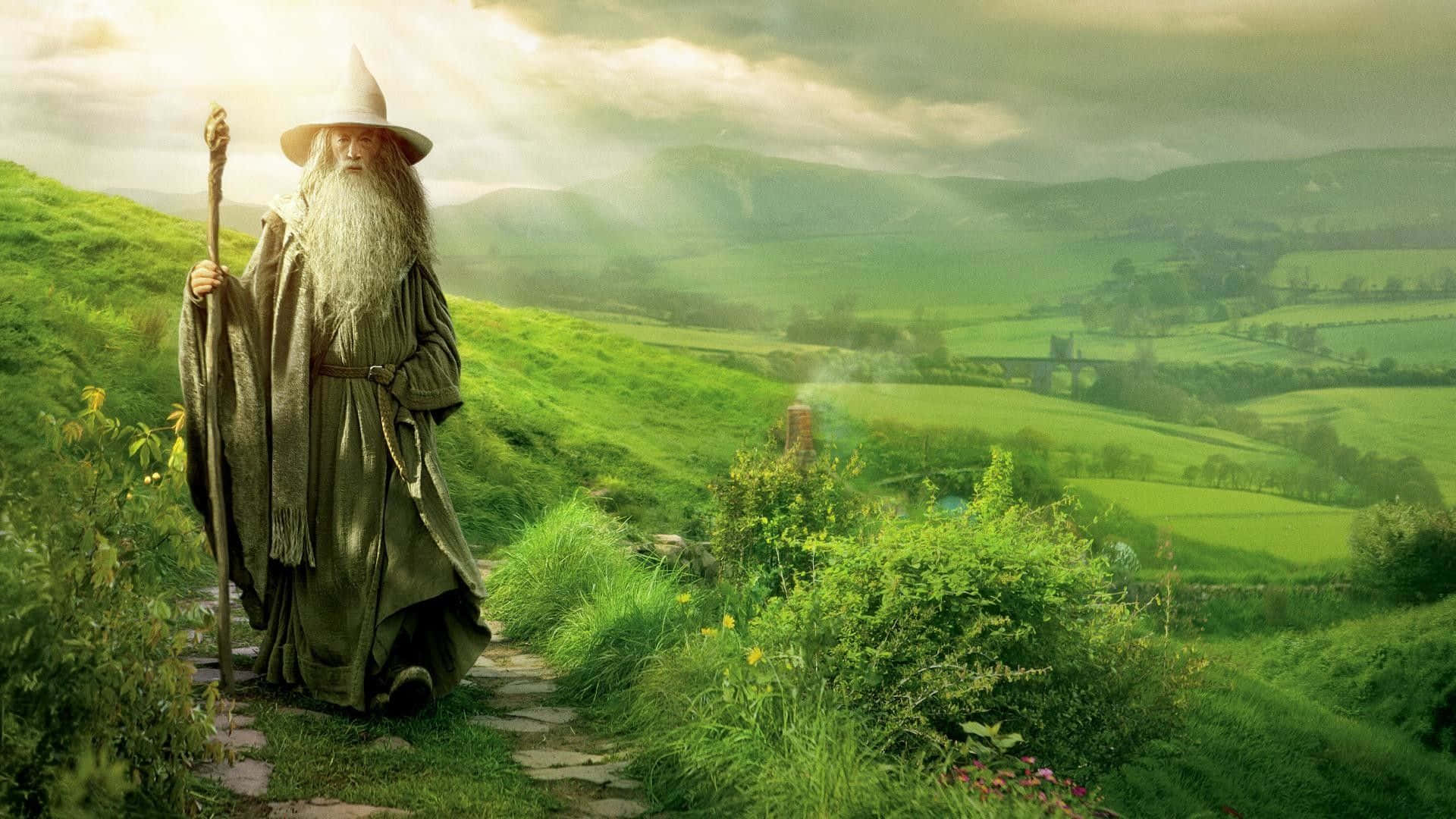 Wizardry, elderly wizard, long white beard, Full HD Desktop Wallpaper