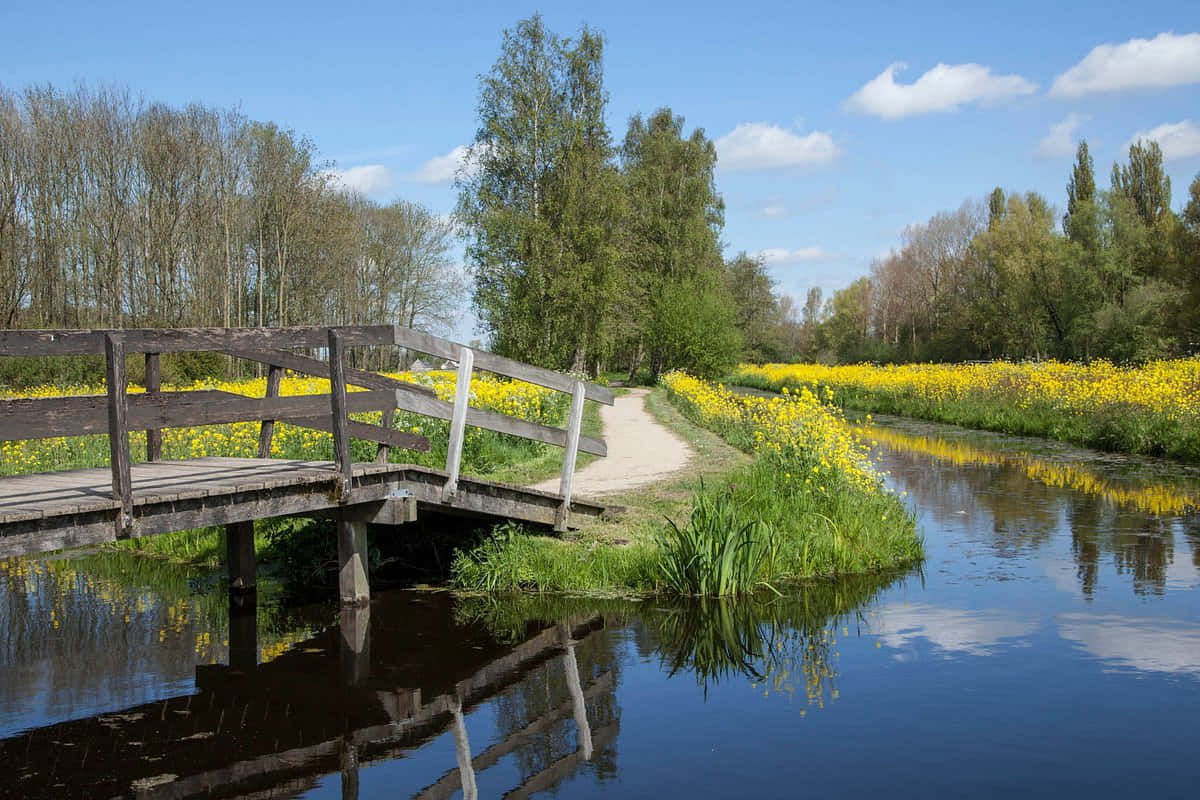 Woerden, wooden bridge, calm canal, SD Desktop Wallpaper