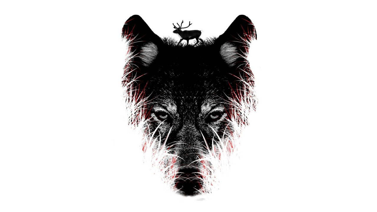 black wolf head, deer perched atop its ear, white background, HD Desktop Wallpaper