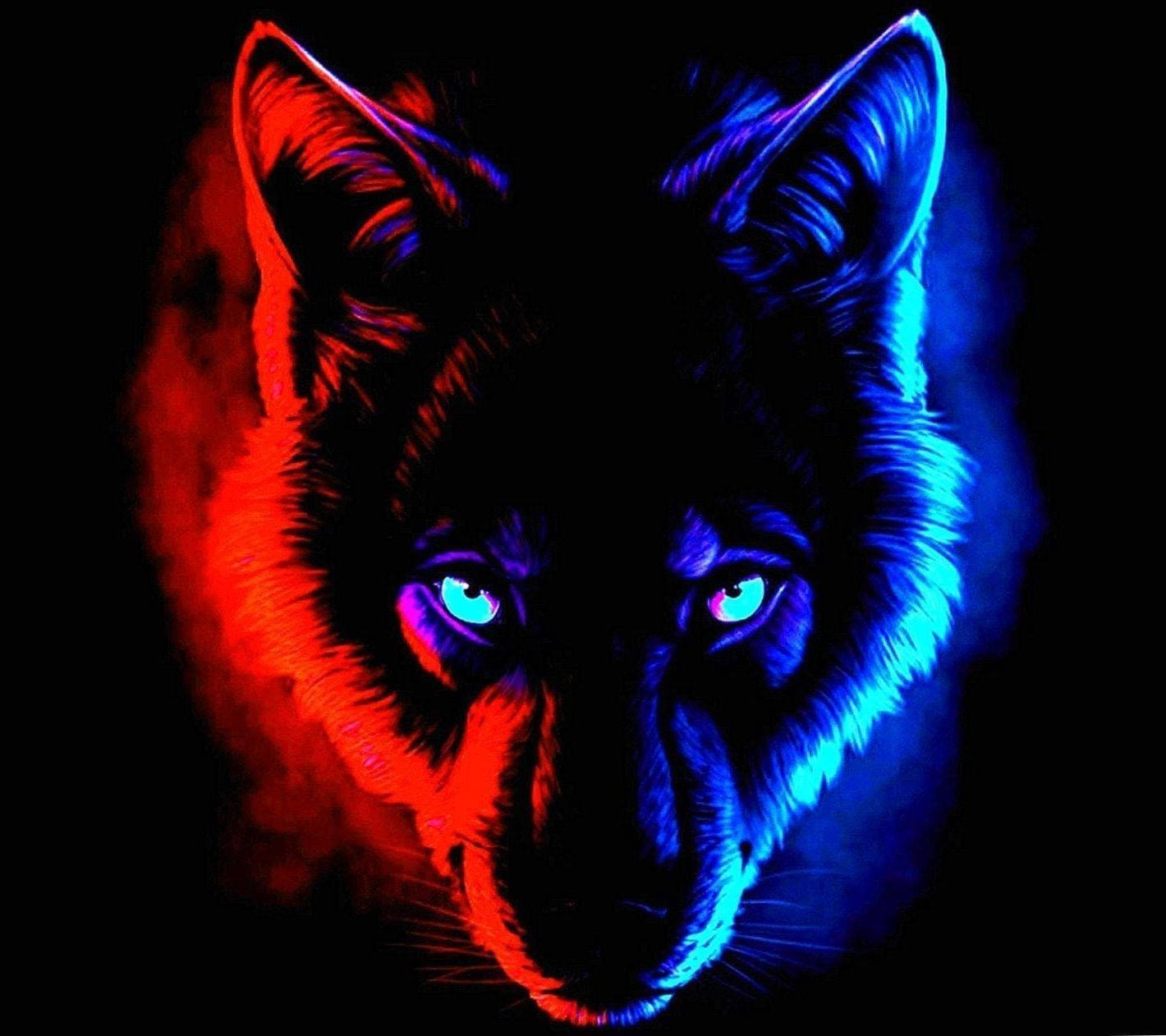red and blue wolf art, neon, black background, HD Desktop Wallpaper