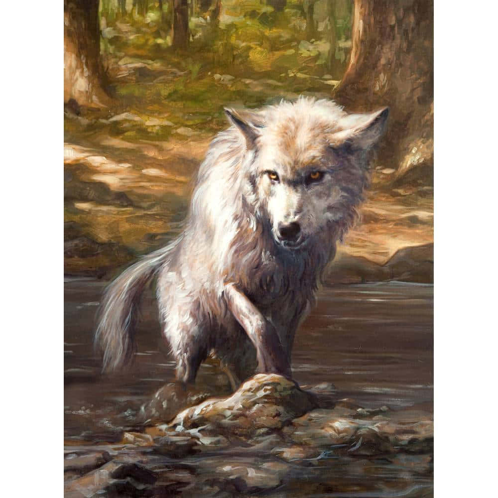 wolf art, white wolf, shallow stream, SD Desktop Wallpaper