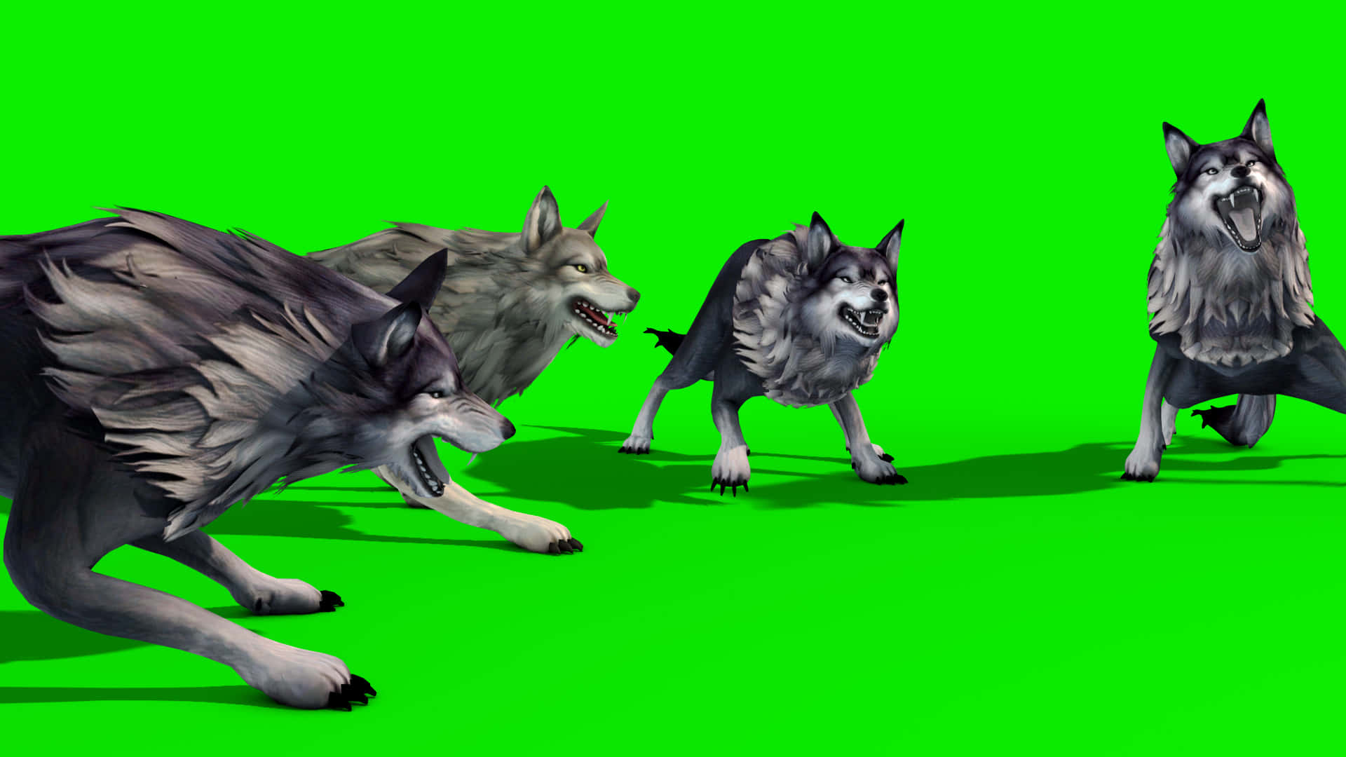 Wolf Attack, 1920 x 1080, green screen, Full HD Desktop Wallpaper