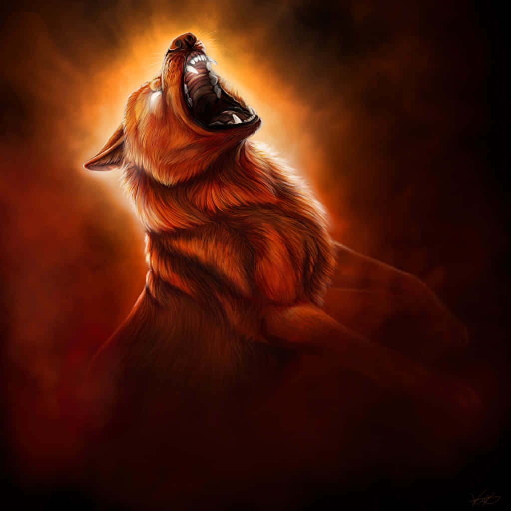angry wolf, golden wolf, dark forest, SD Desktop Wallpaper