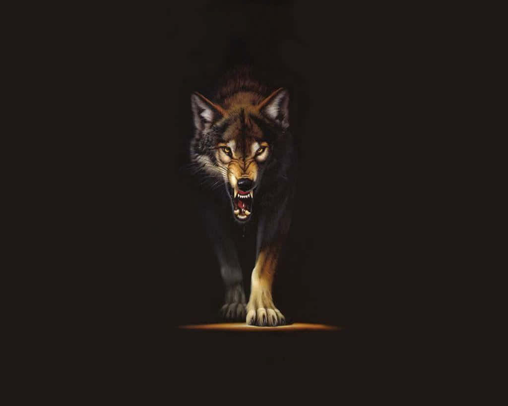 angry wolf, glowing eyes, bared teeth, SD Desktop Wallpaper