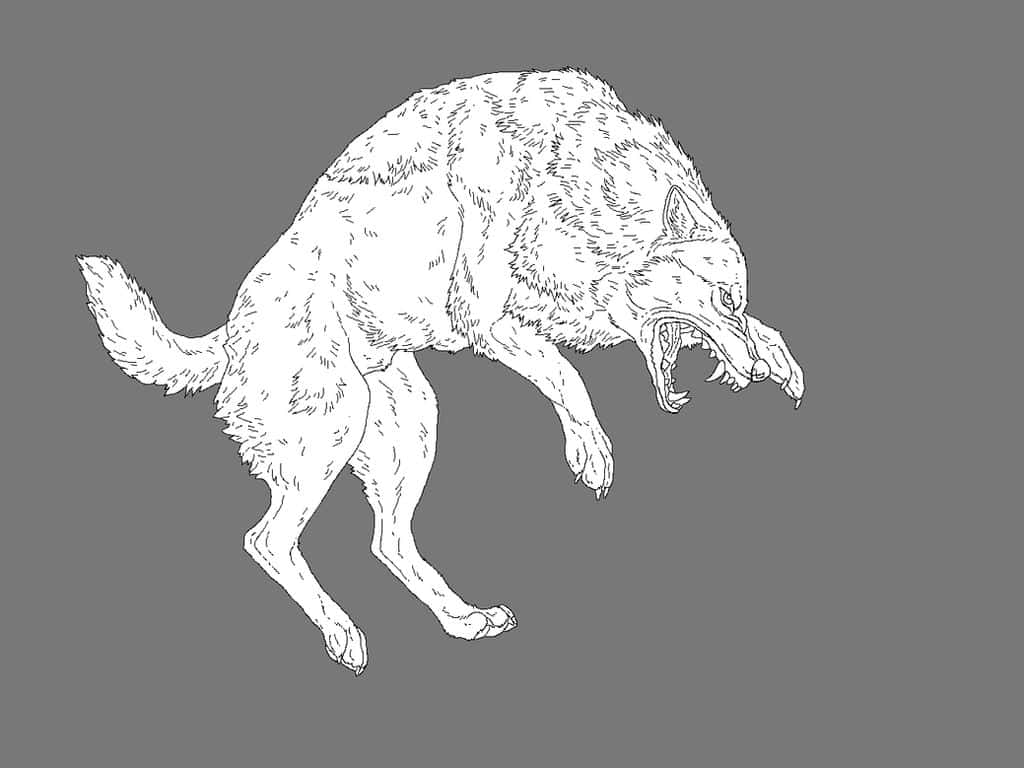 Wolf Attack, line-art, bared teeth, SD Desktop Wallpaper