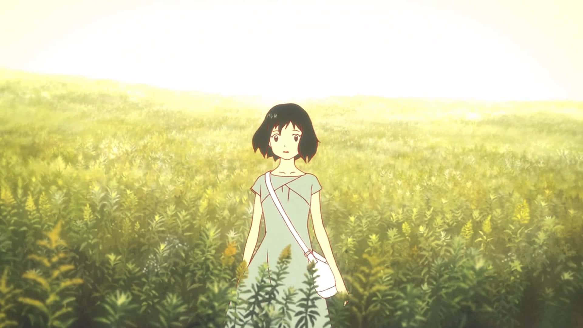 Wolf Children, light dress, sun-drenched field, Full HD Desktop Wallpaper