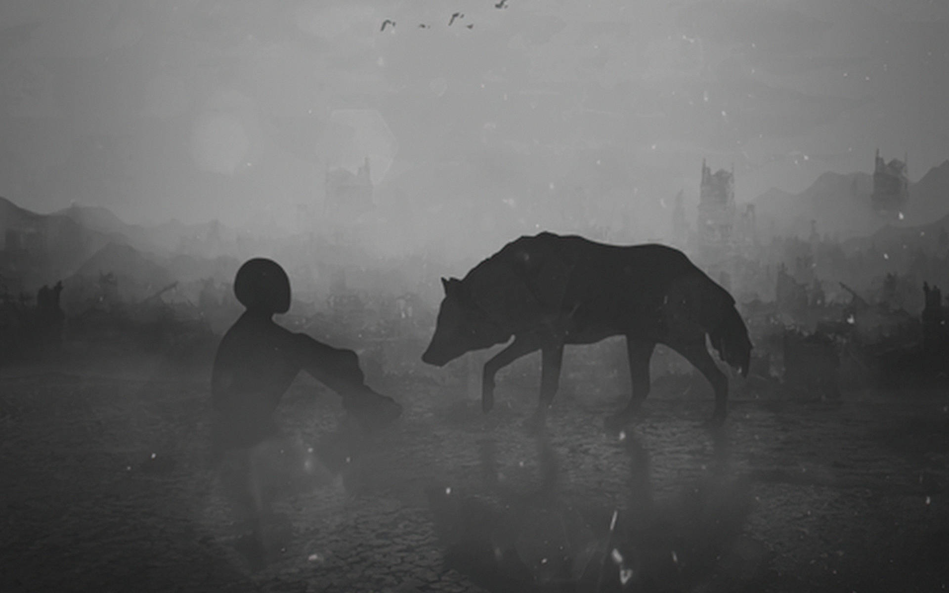 Black Wolf, child, desolate wasteland, Full HD Desktop Wallpaper