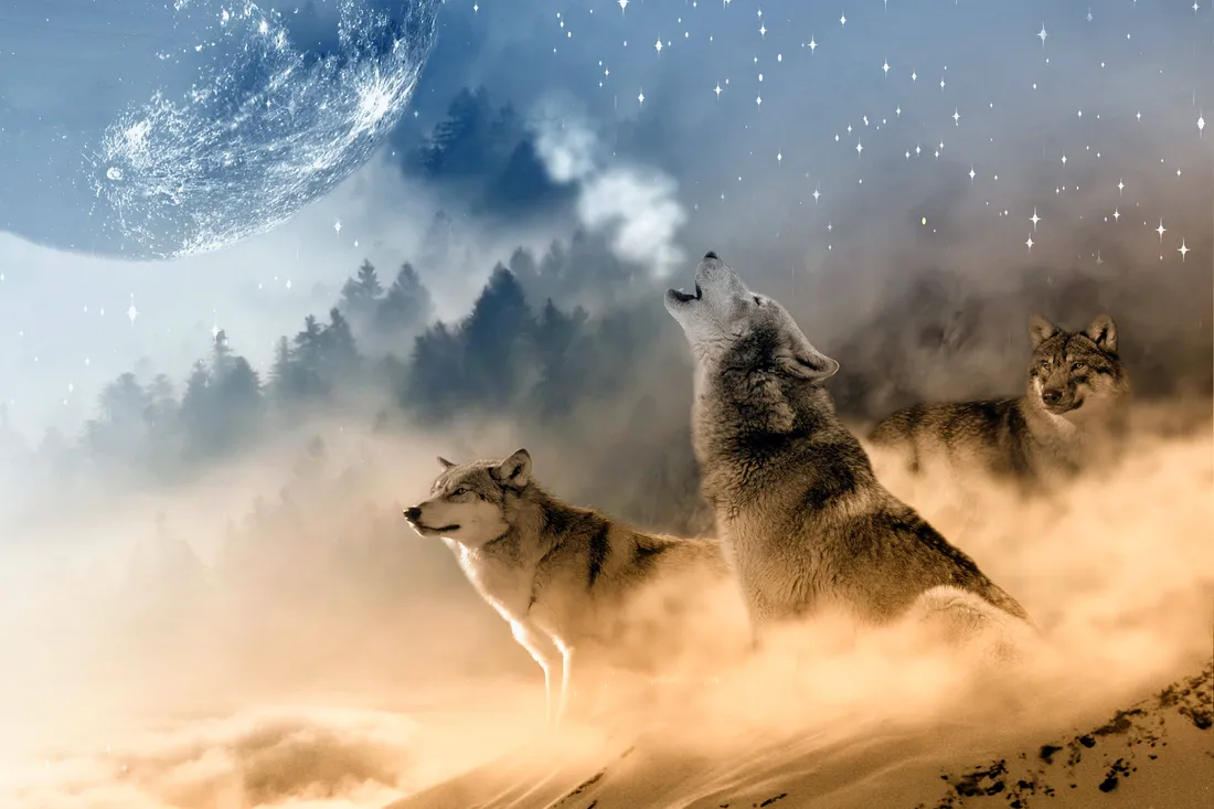 Wolf Desktop