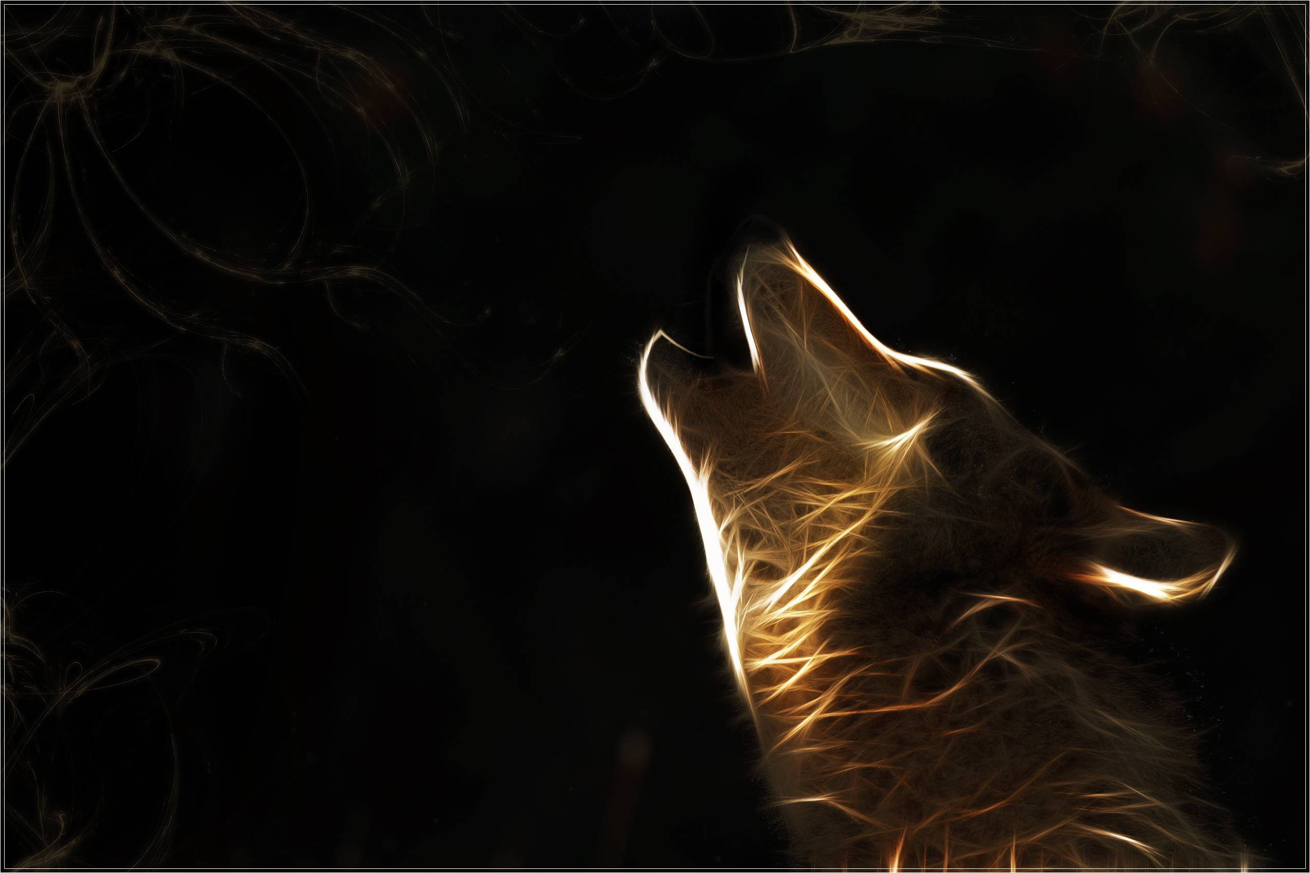 wolf, glowing golden wolf, dark background, Full HD Desktop Wallpaper
