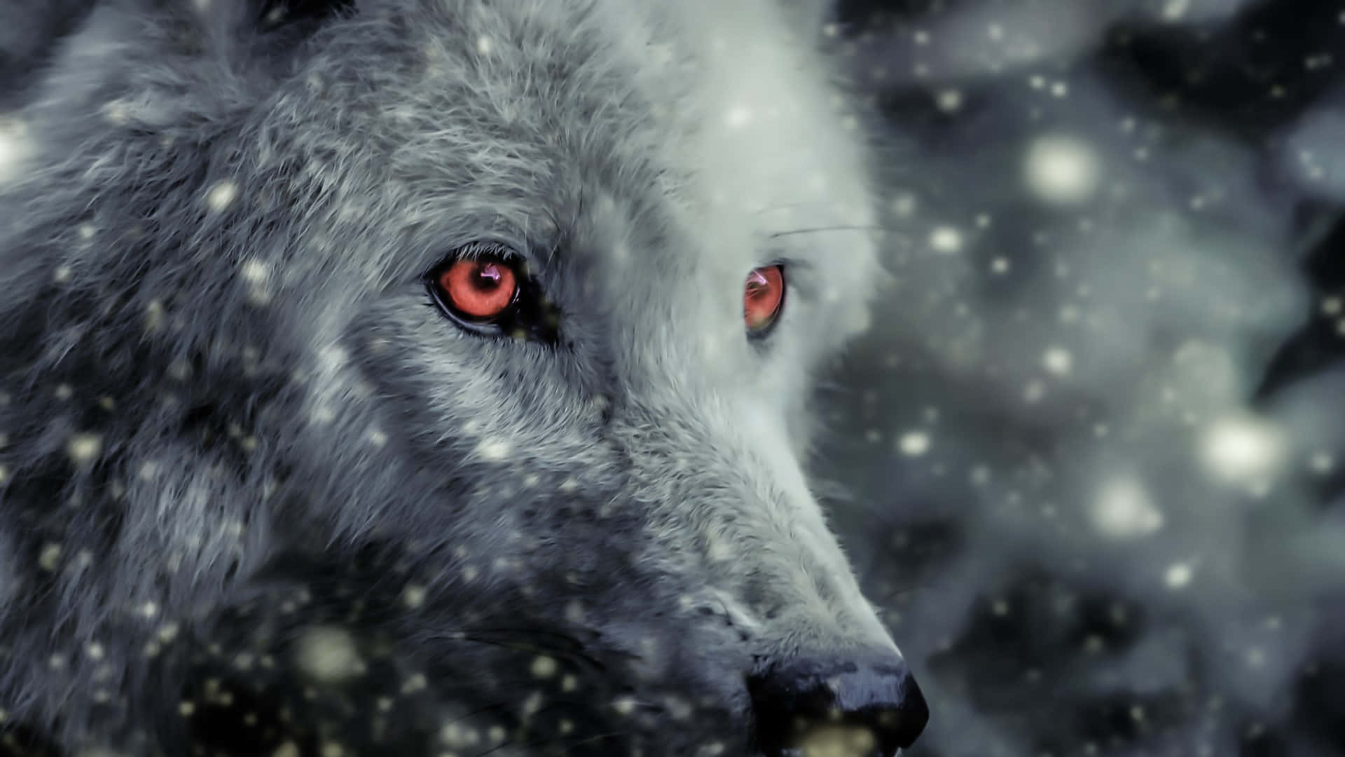 wolf aesthetic, white wolf, glowing red eyes, Full HD Desktop Wallpaper