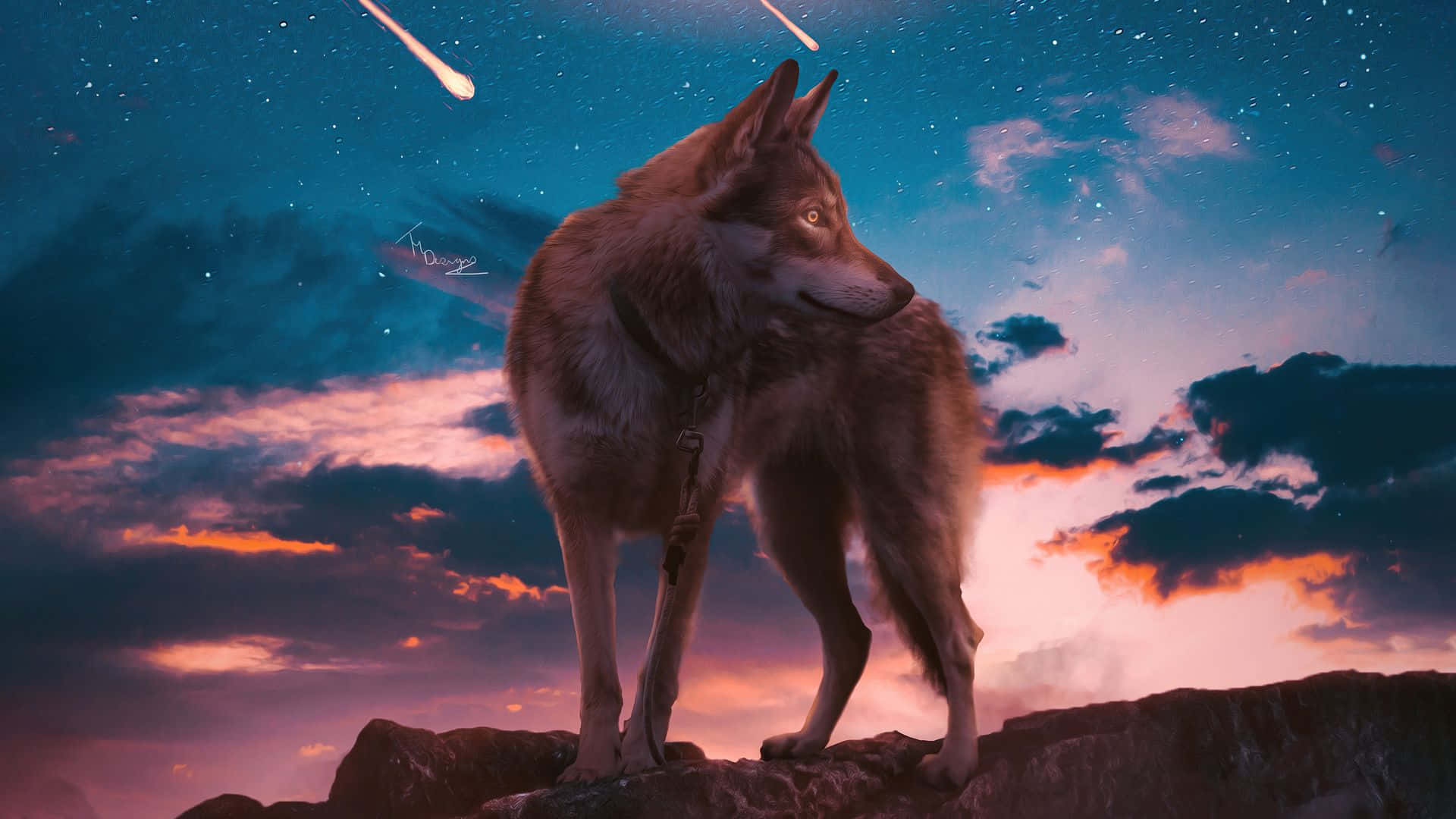wolf, rocky cliff, starry twilight sky, Full HD Desktop Wallpaper
