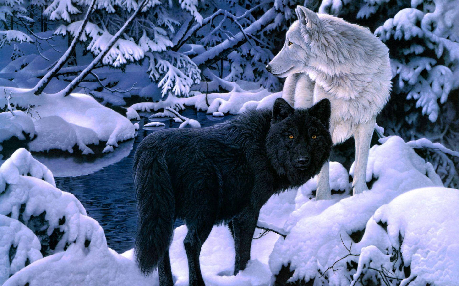 wolf painting, black wolf, white wolf, Full HD Desktop Wallpaper
