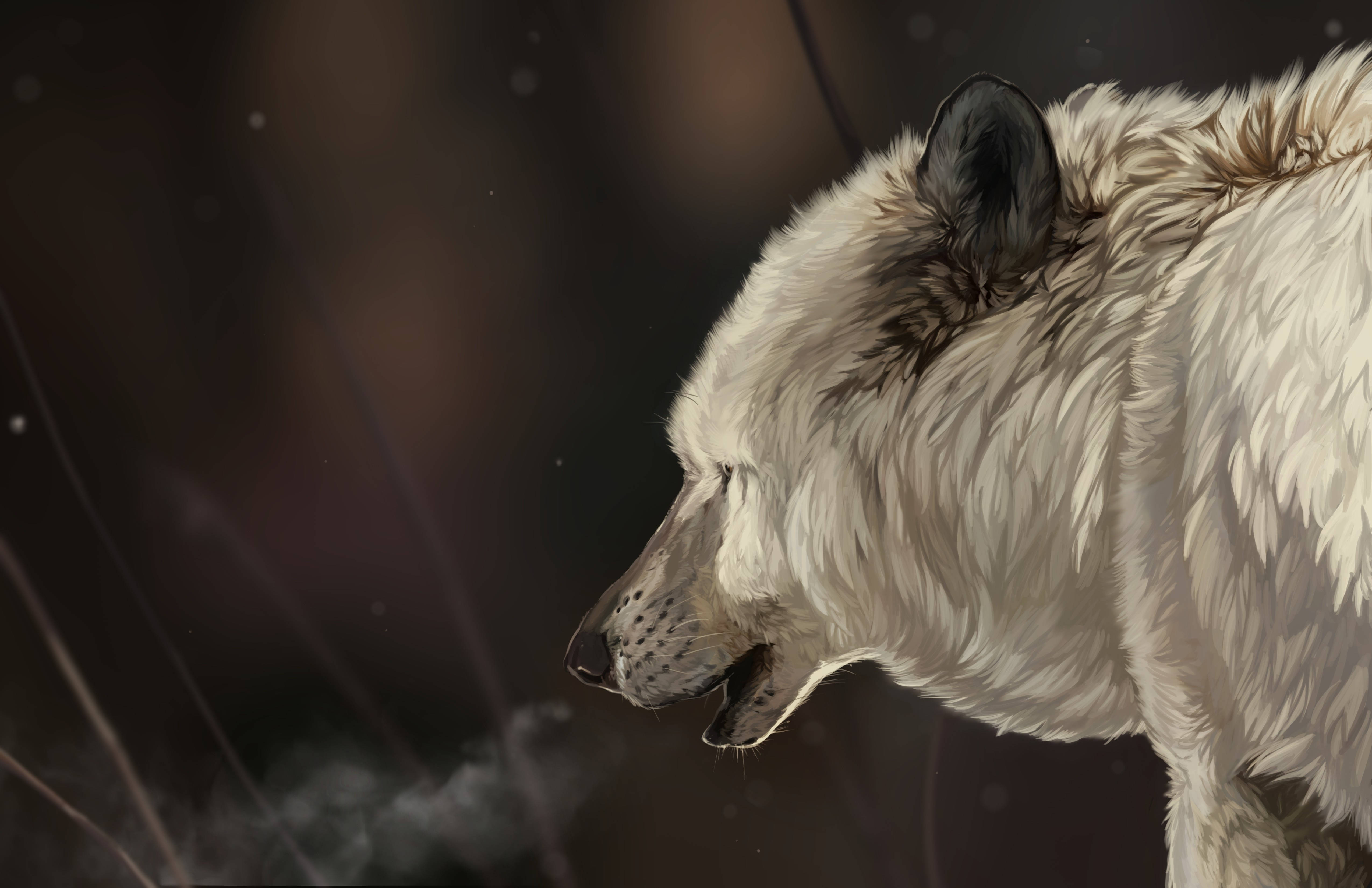 white wolf, profile, dark blurred forest, 4K Desktop Wallpaper