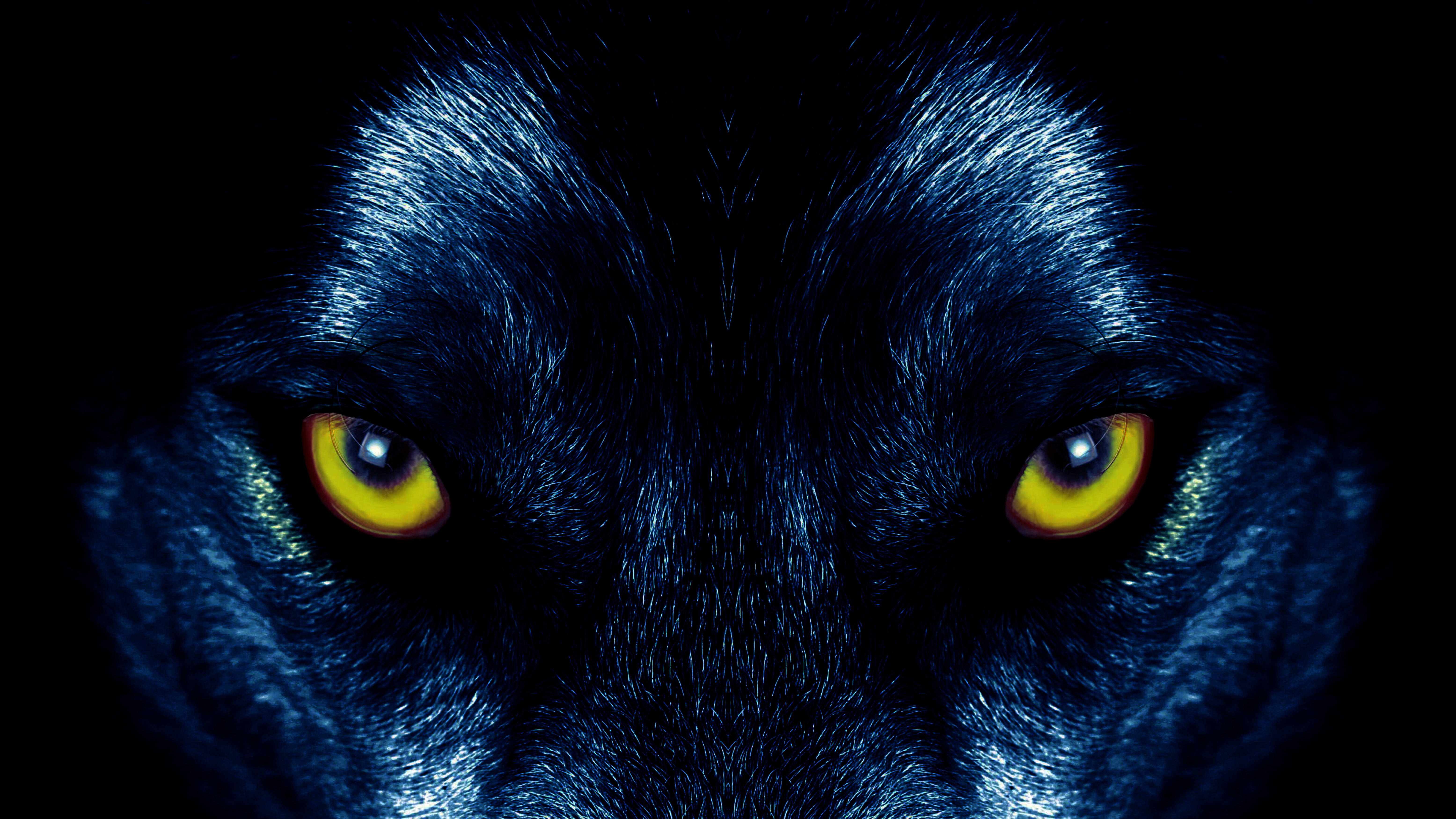 yellow wolf eyes, black wolf, glowing yellow eyes, 5K Desktop Wallpaper
