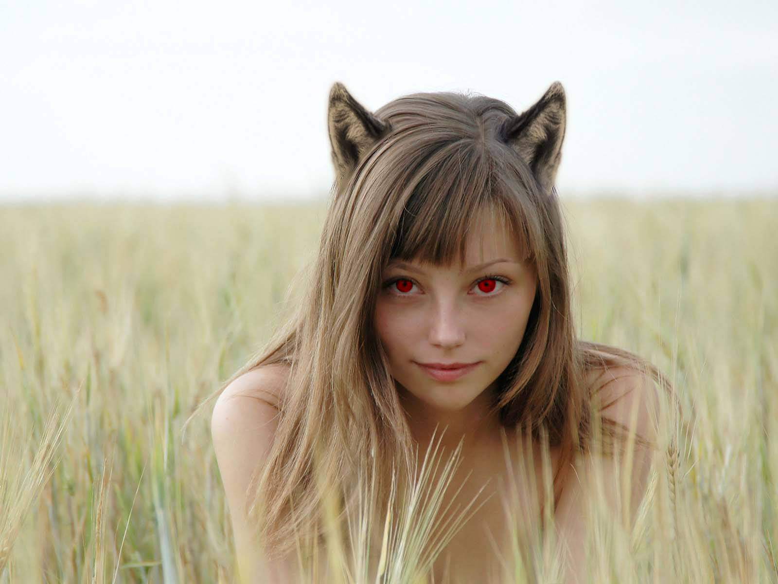 wolf girl, red eyes, golden wheat stalks, HD Desktop Wallpaper