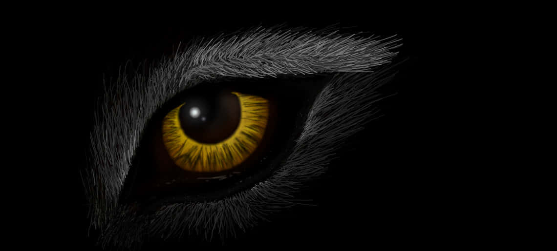 Wolf Eyes, glowing amber feline eye, dark fur, SD Desktop Wallpaper