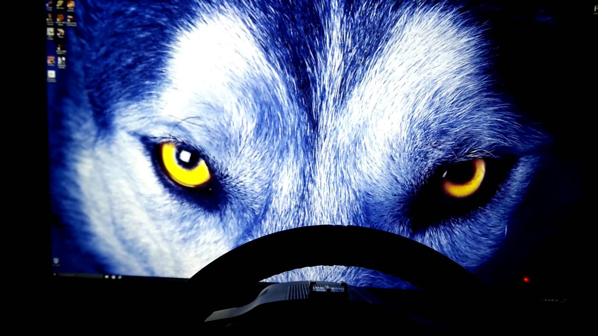 husky, yellow eyes, car steering wheel, Full HD Desktop Wallpaper