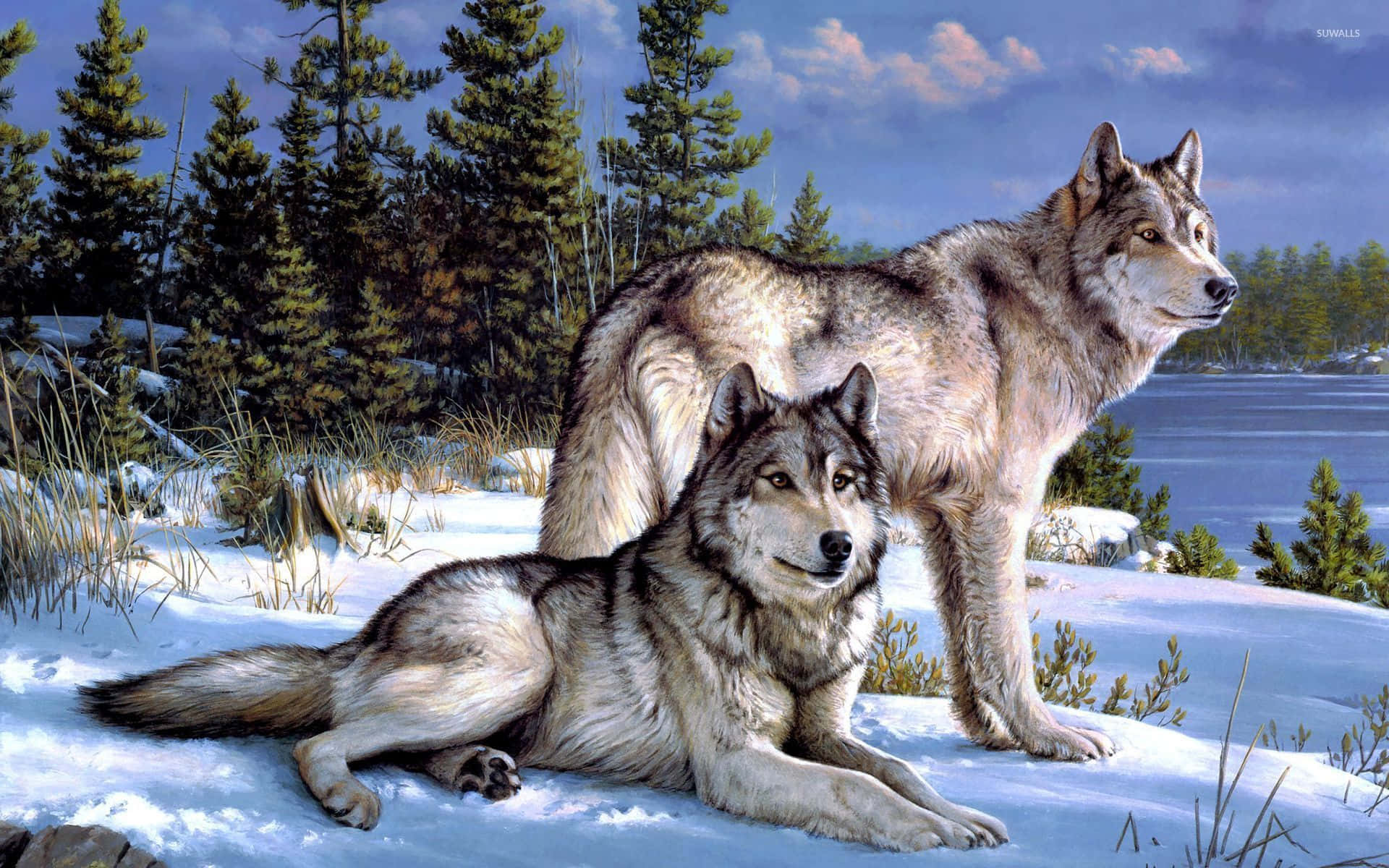 wolf, forest, snowy winter woods, Full HD Desktop Wallpaper