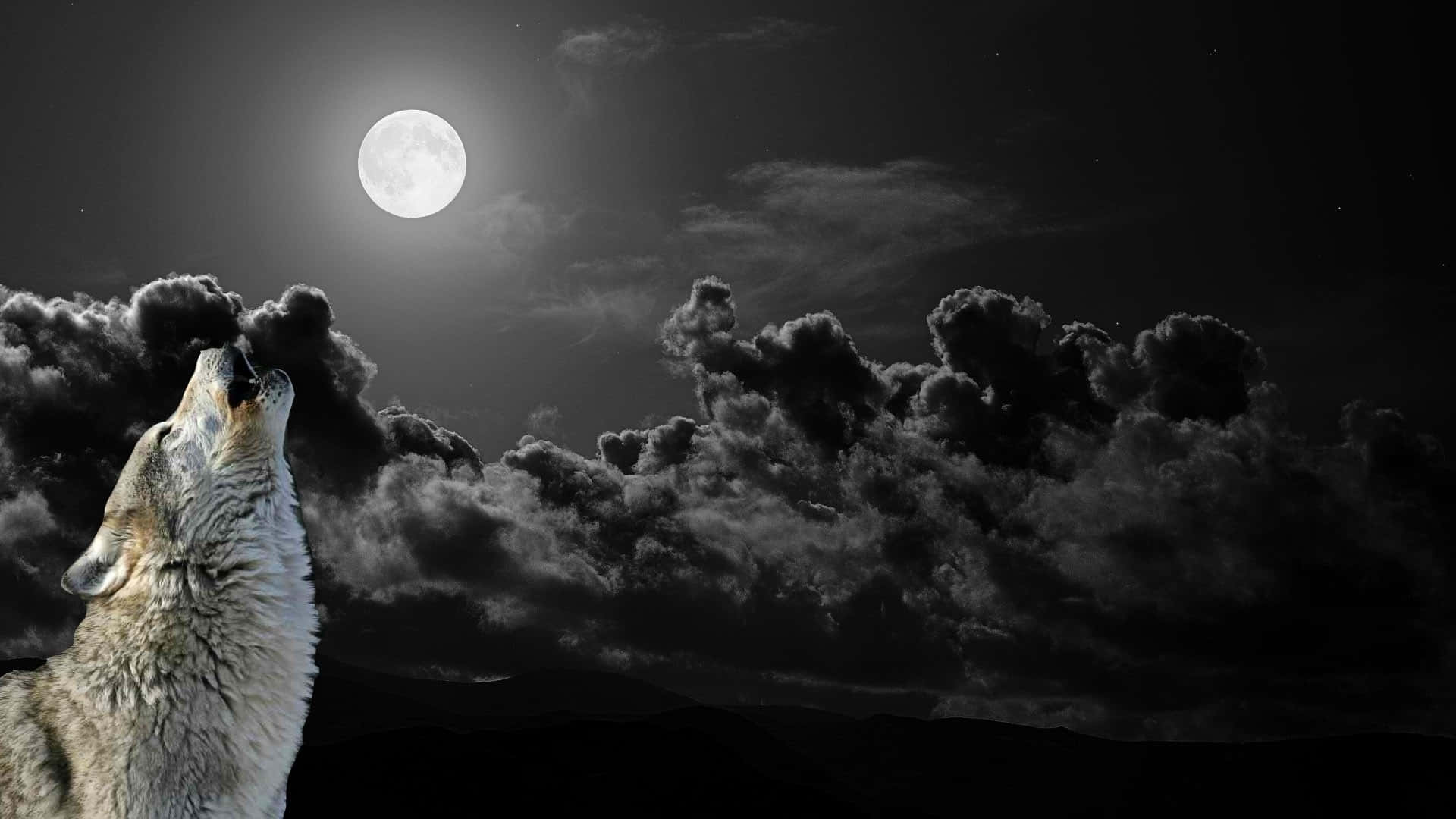 Wolf, full moon, cloudy night sky, Full HD Desktop Wallpaper