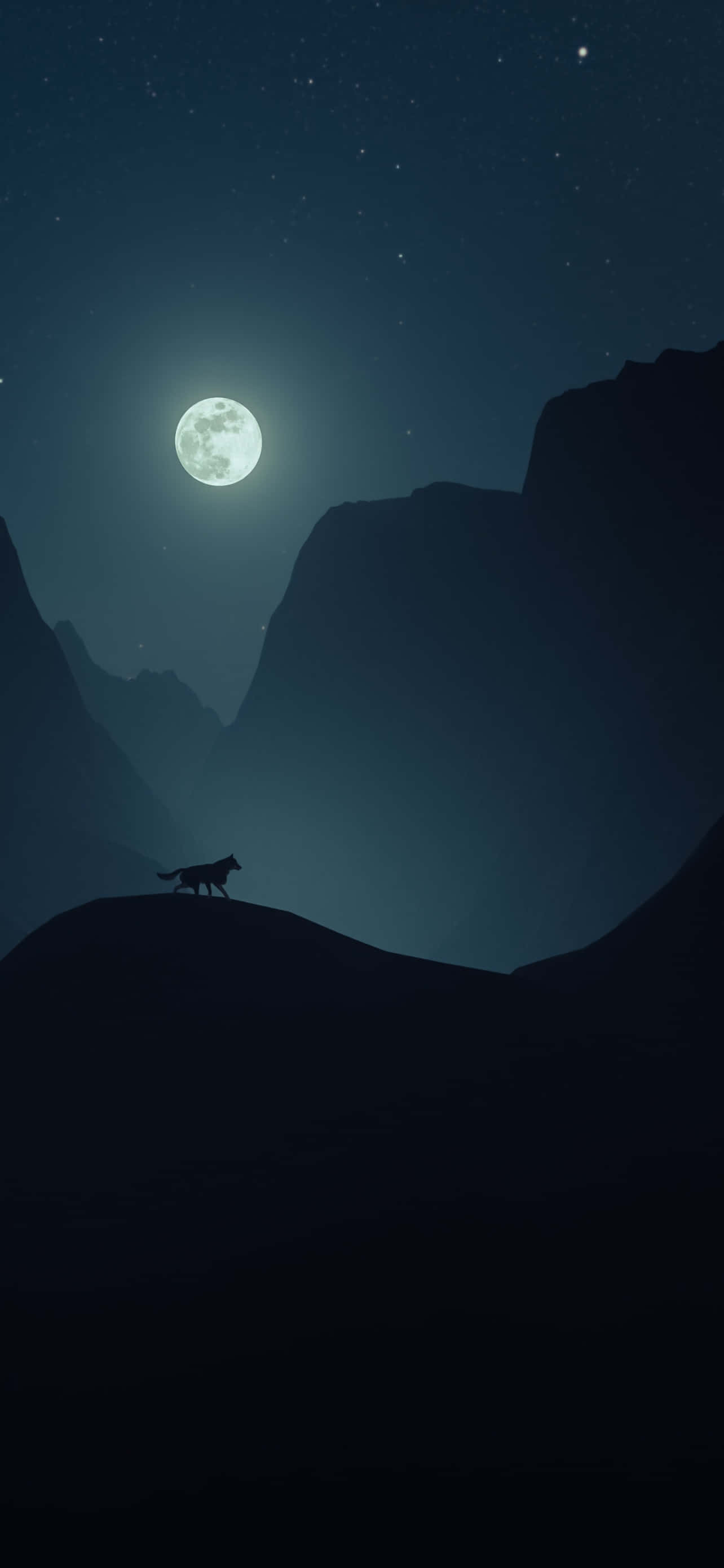 wolf in moonlight, full moon, starry night sky, 2K Phone Wallpaper