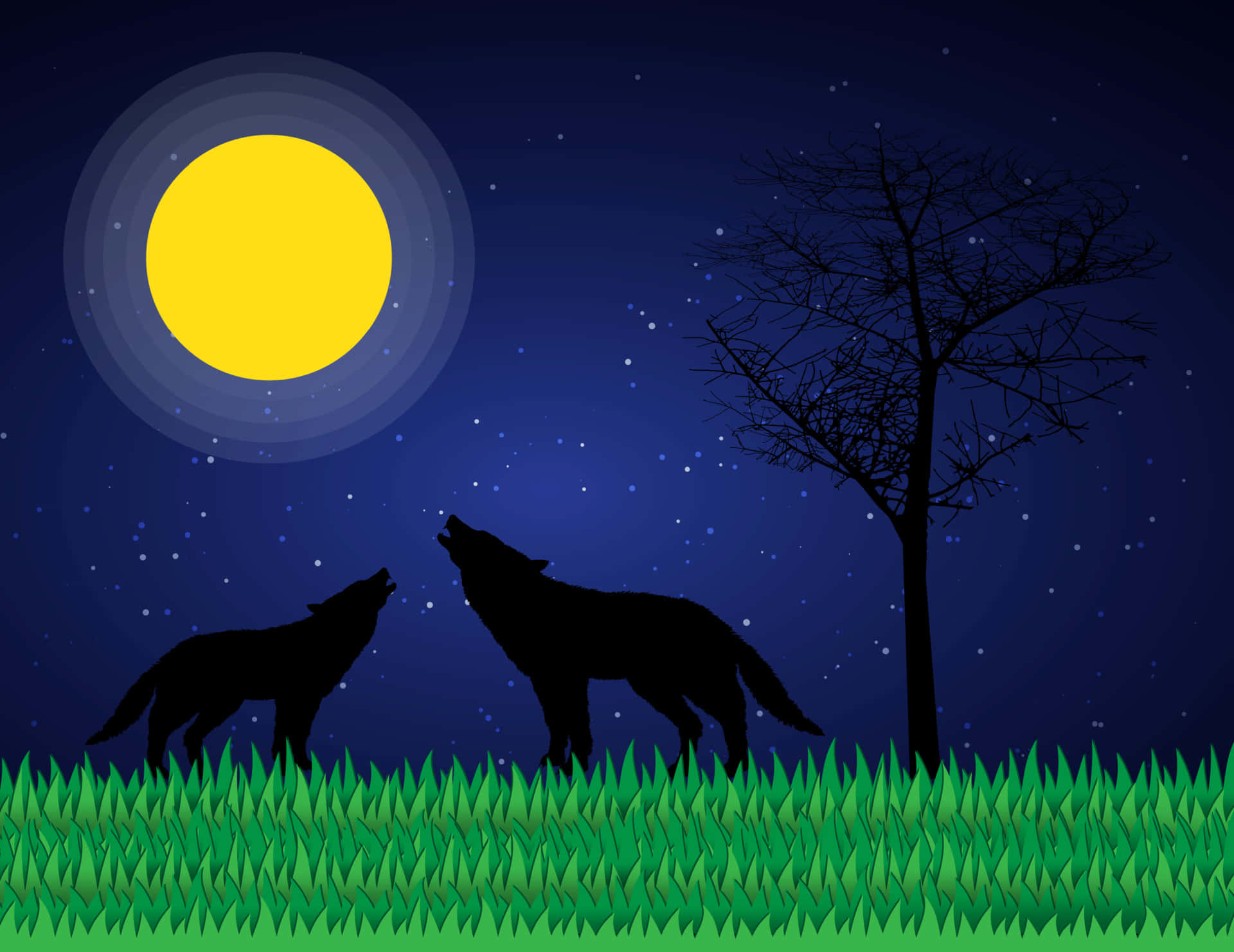 wolf in moonlight, yellow moon, starry night sky, Full HD Desktop Wallpaper