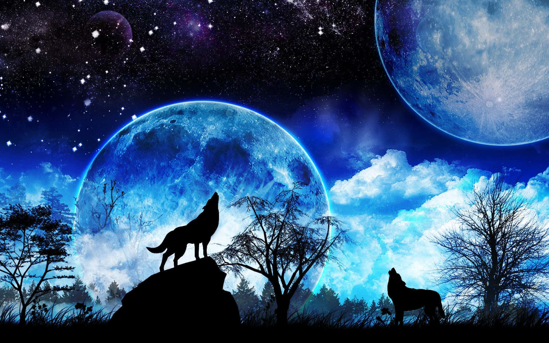 Wolf In Moonlight, two wolves, rocky hill, Full HD Desktop Wallpaper