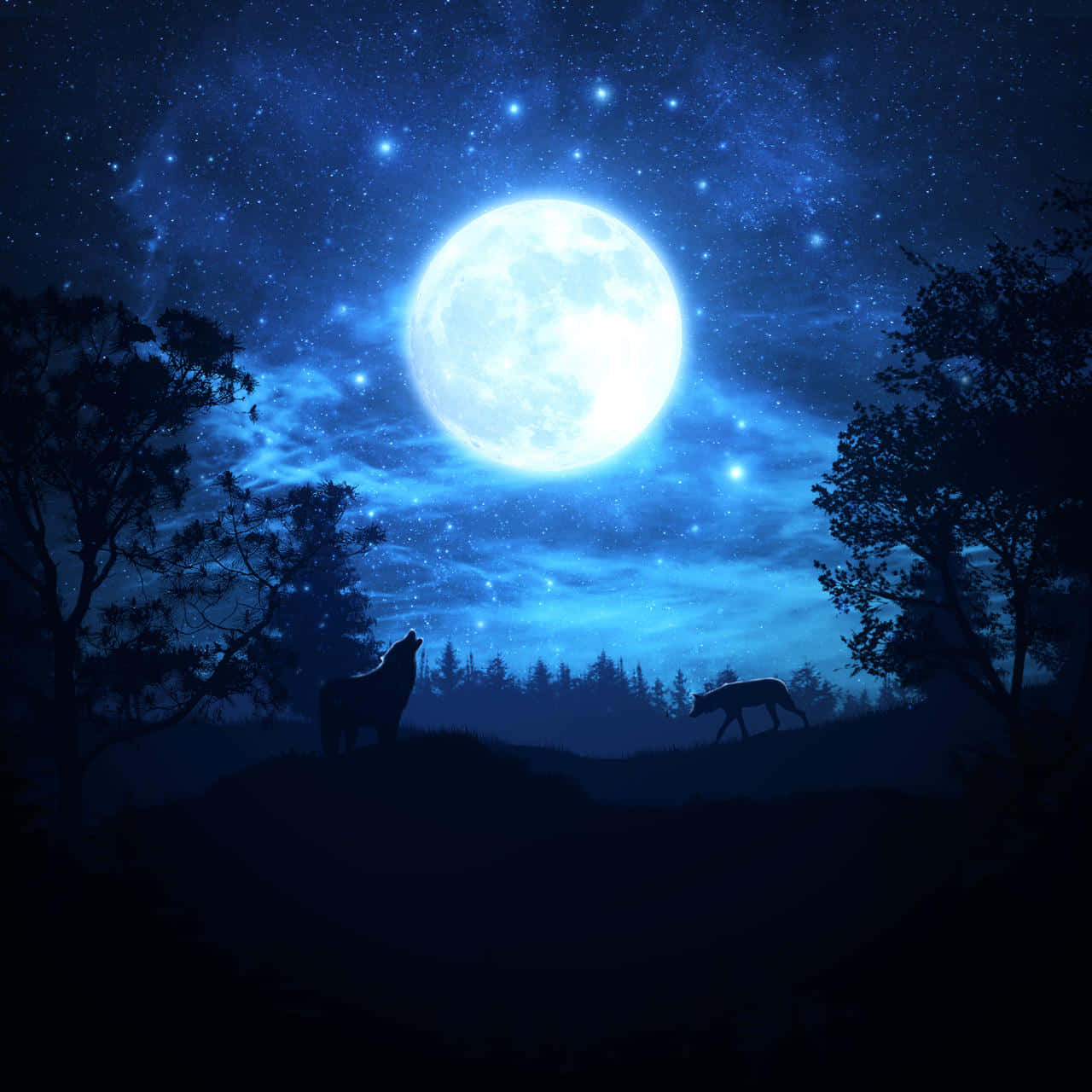 Wolf In Moonlight, full moon, starry blue night sky, HD Desktop Wallpaper