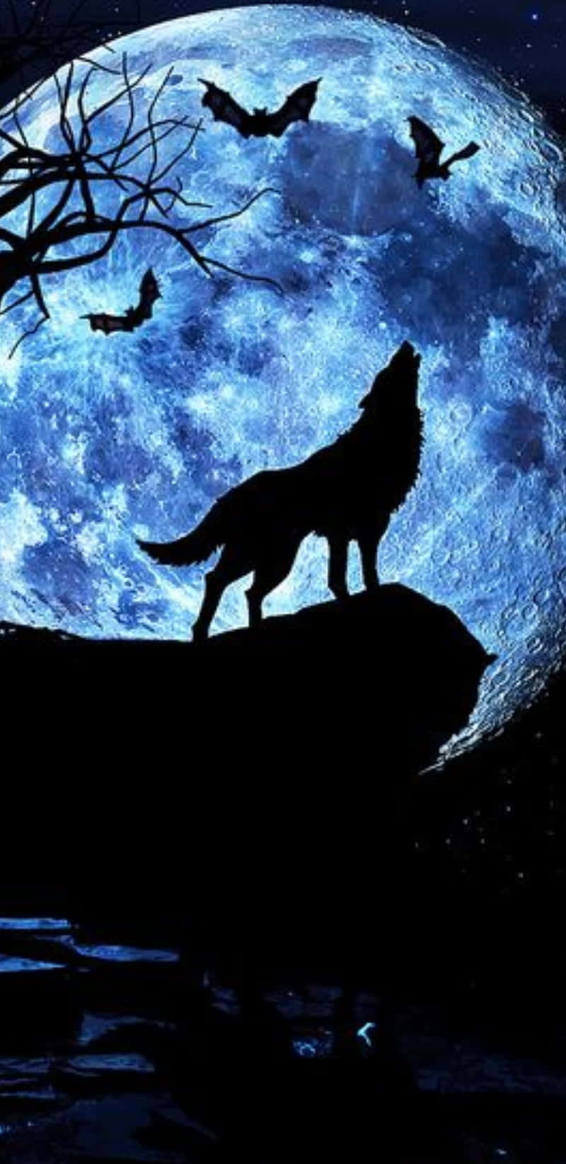 Wolf In Moonlight, cliff, glowing blue moon, HD Phone Wallpaper