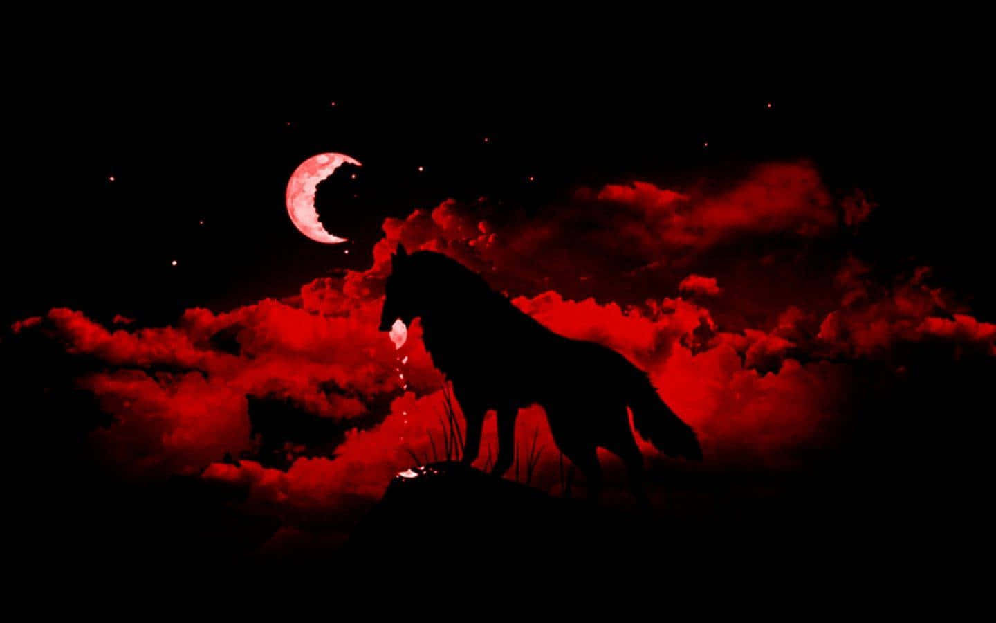 wolf in moonlight, blood red moon, storm clouds, HD Desktop Wallpaper
